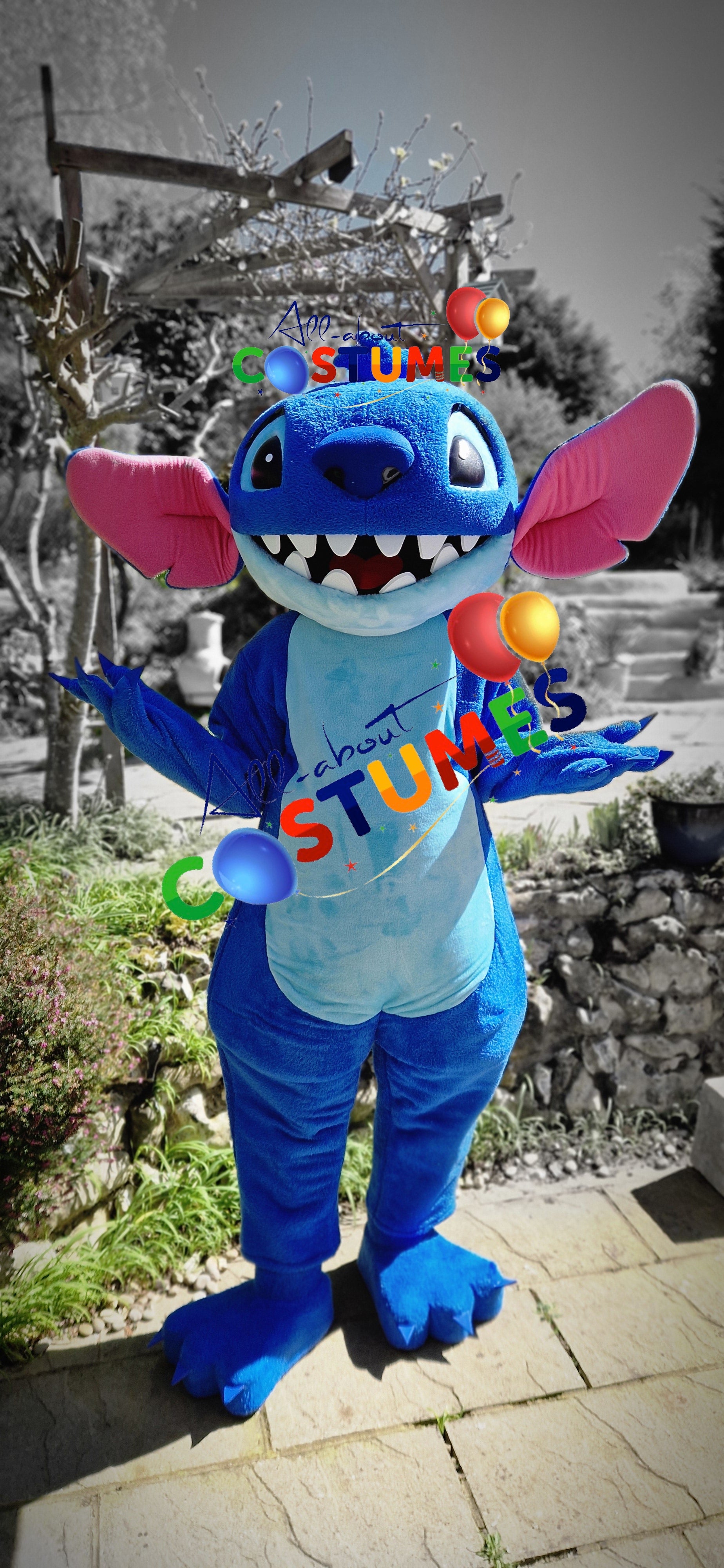 Stitch Costume B