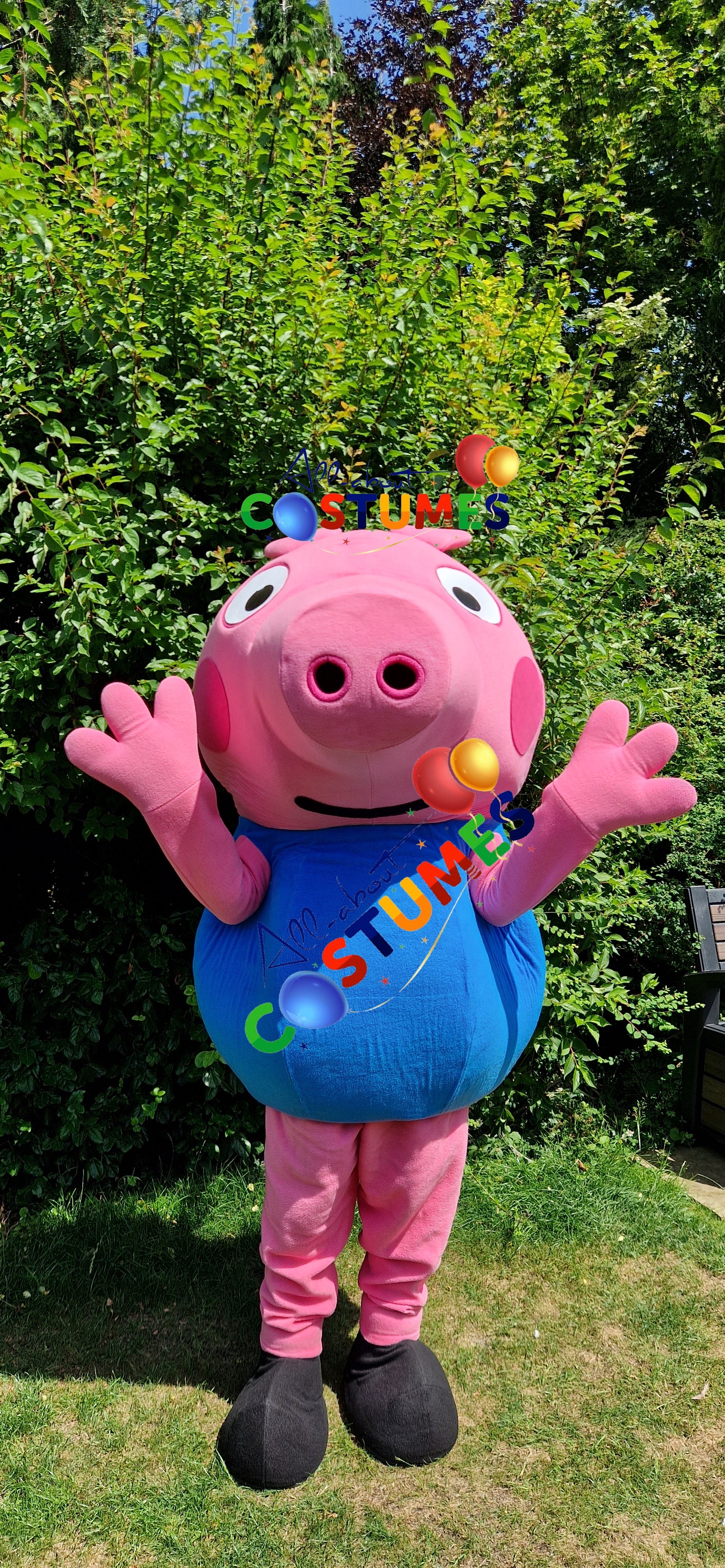 George Pig Family