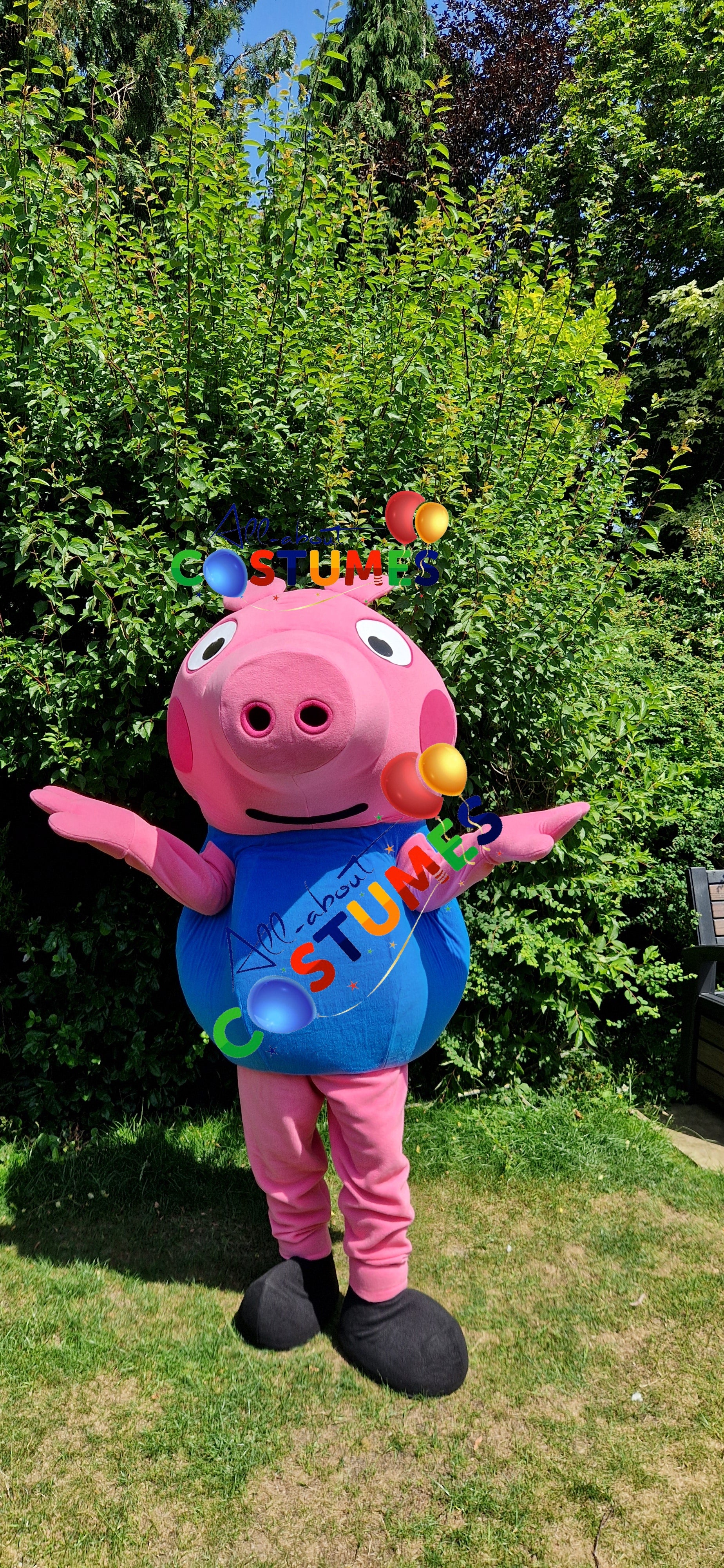 George Pig Family