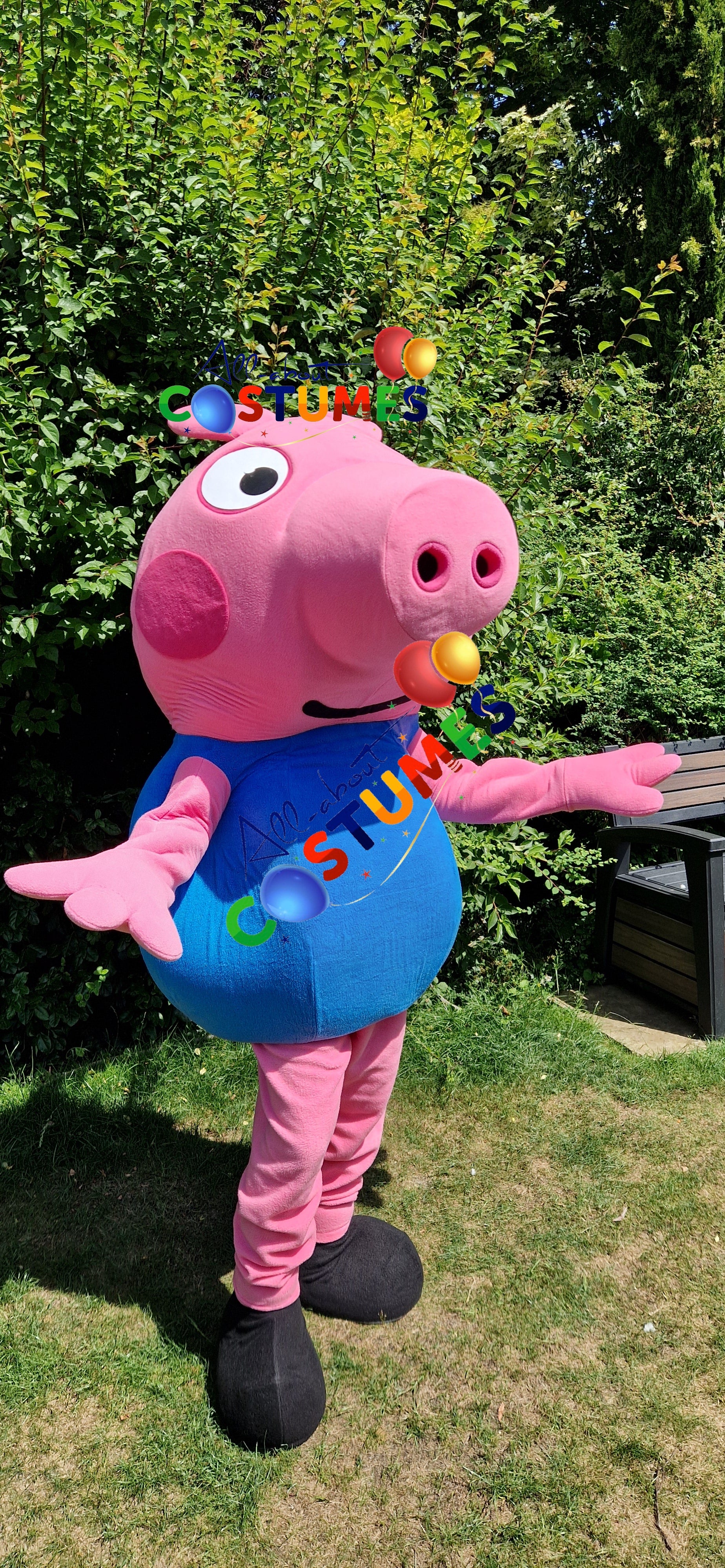 George Pig Family