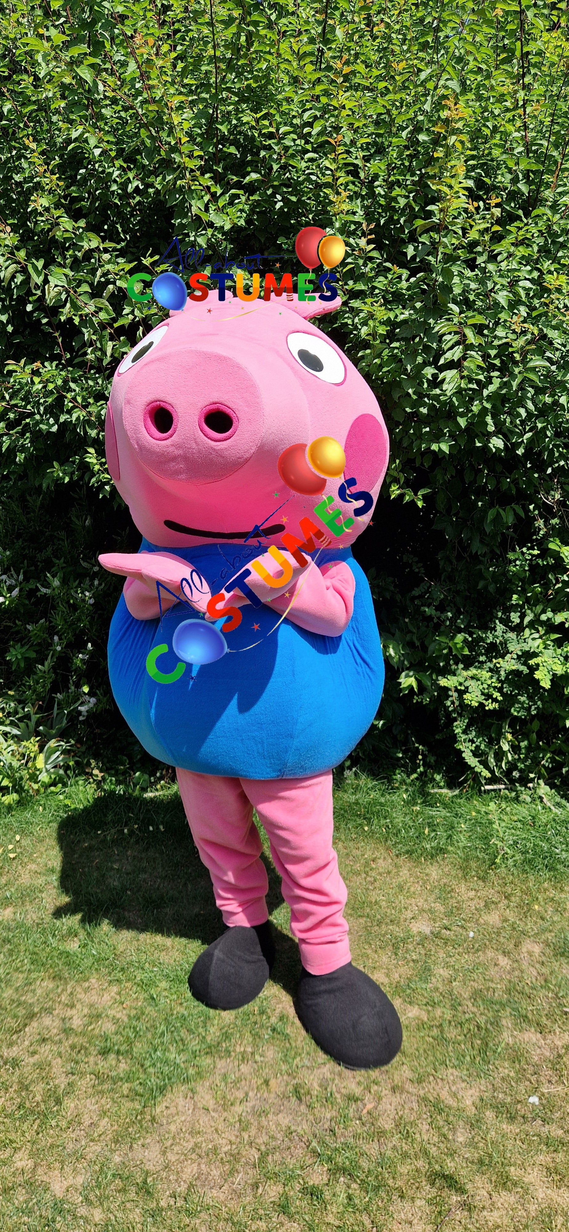 George Pig Family