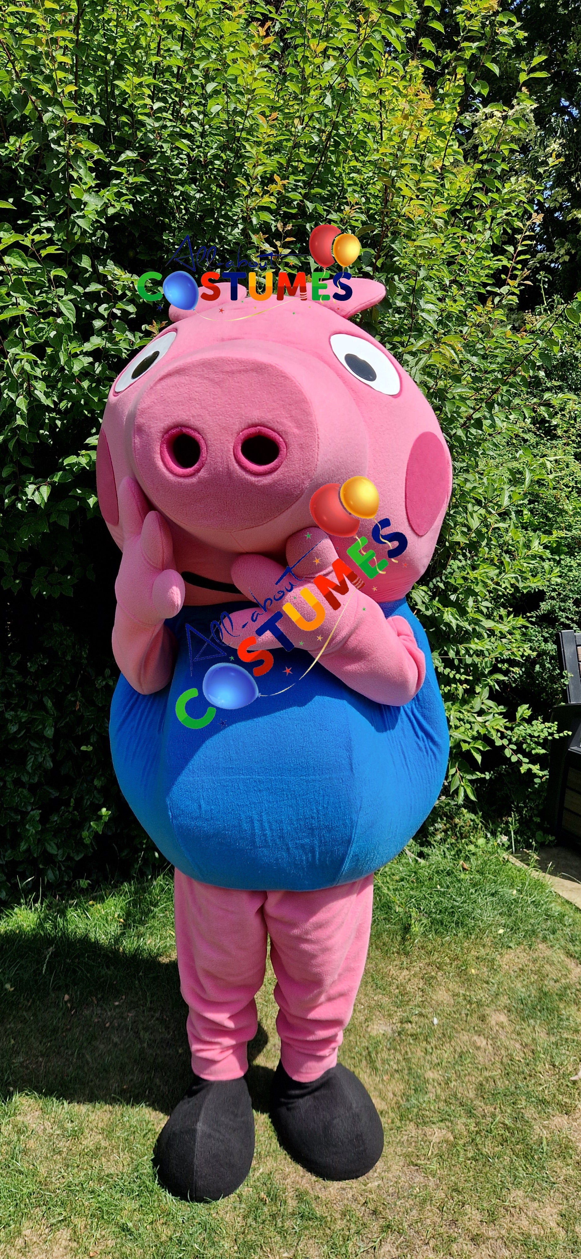 George Pig Family