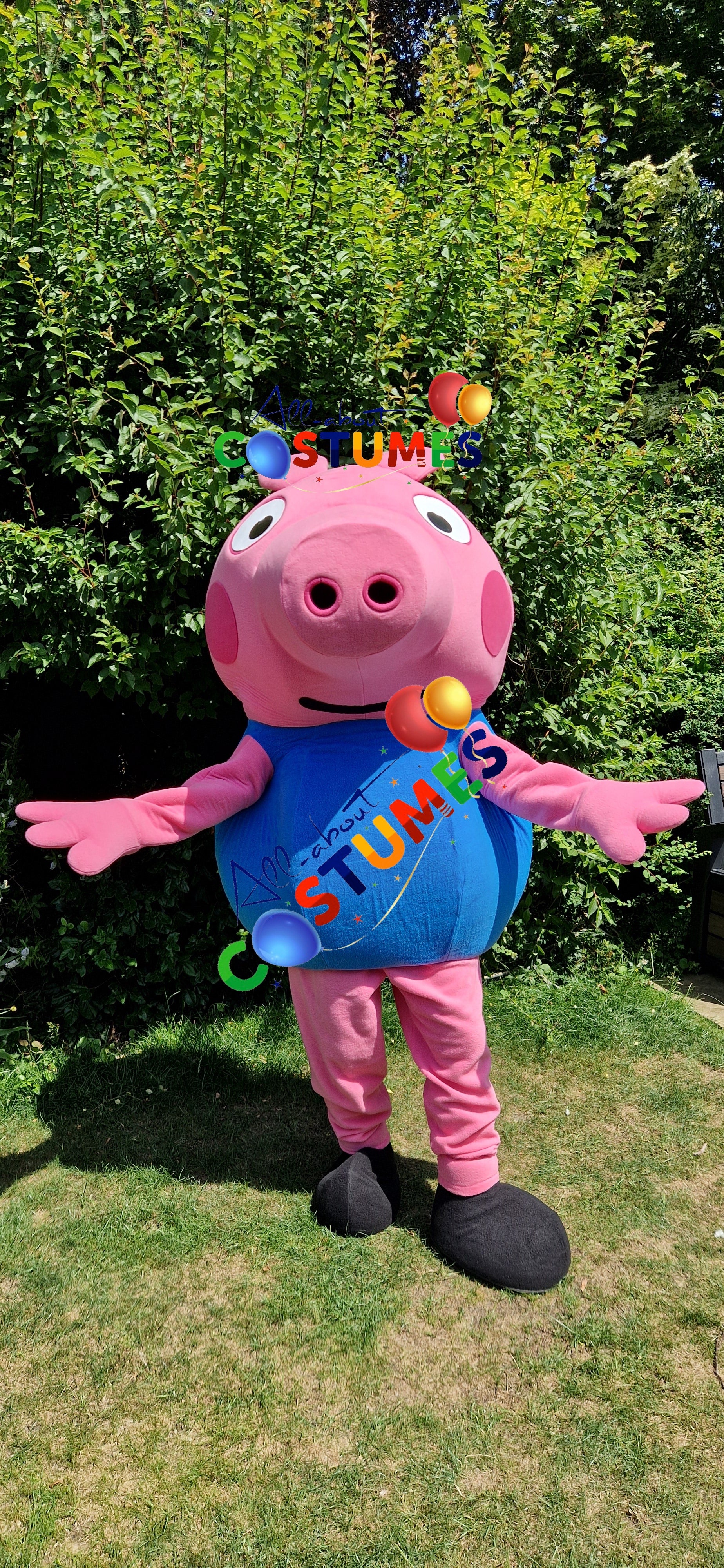 George Pig Family