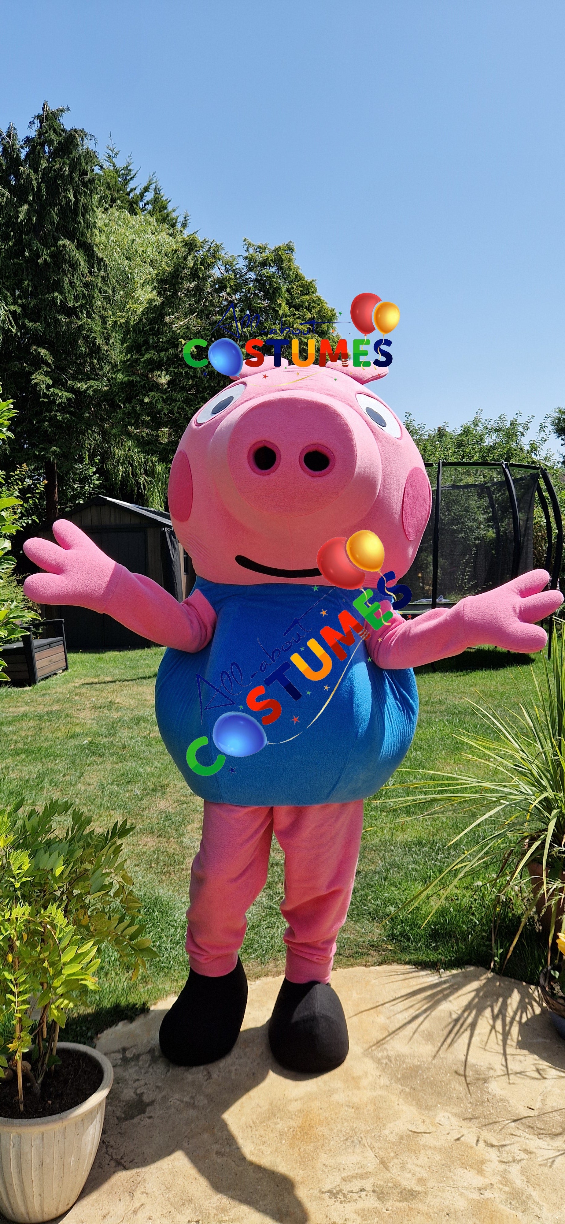 George Pig Family