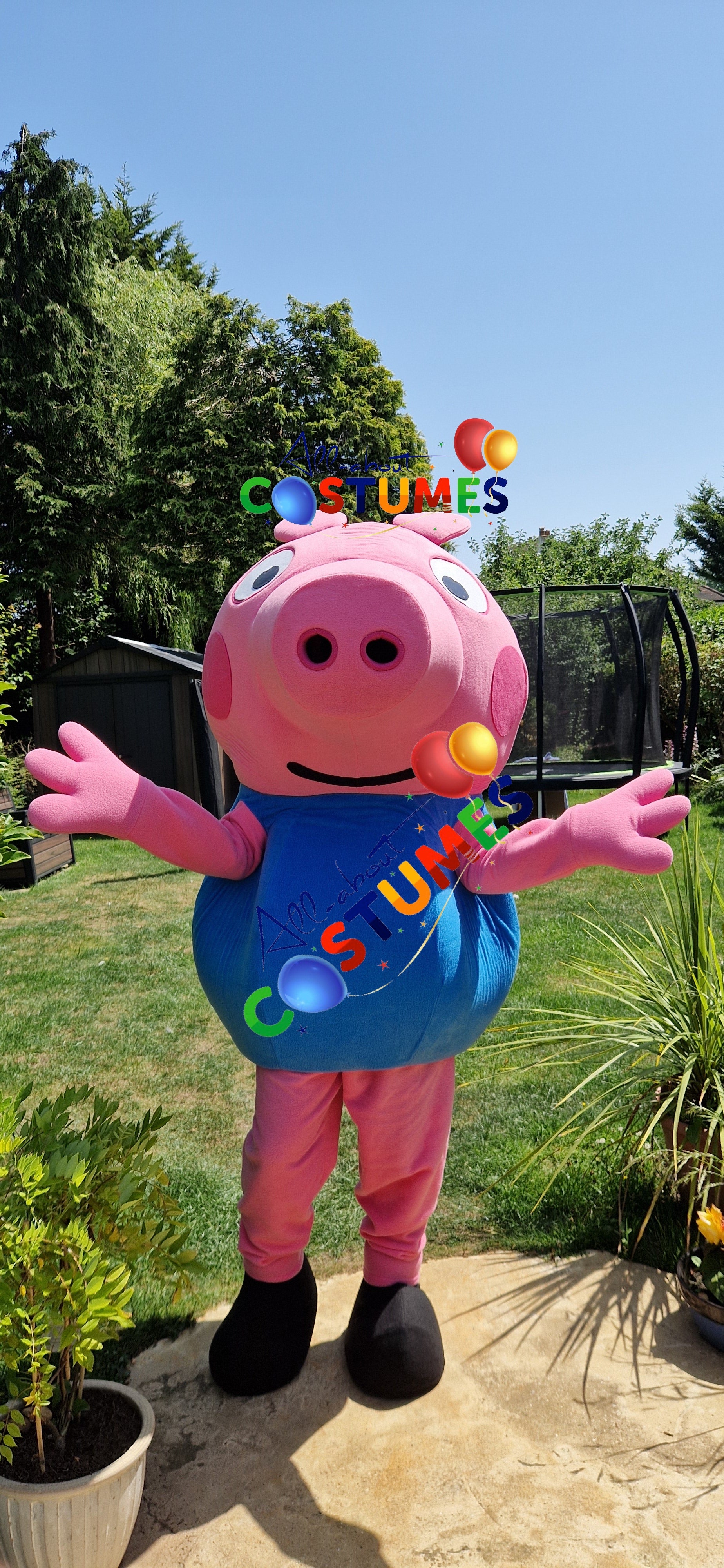 George Pig Family