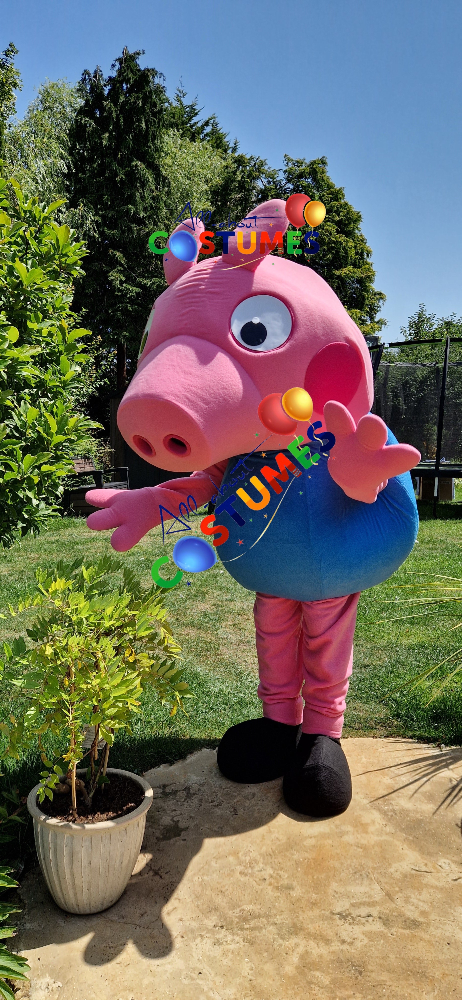 George Pig Family