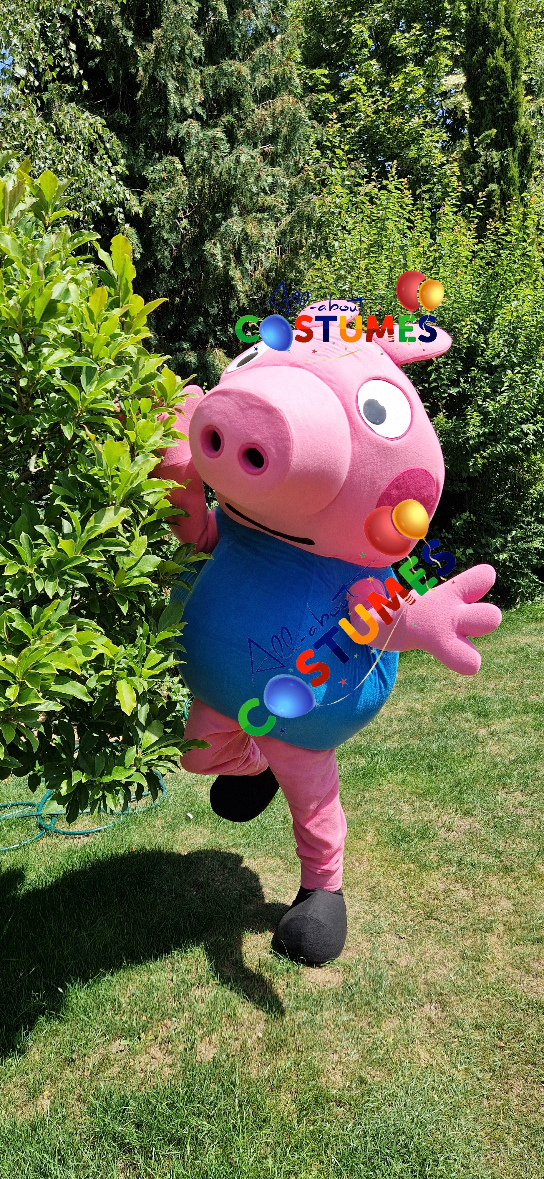George Pig Family