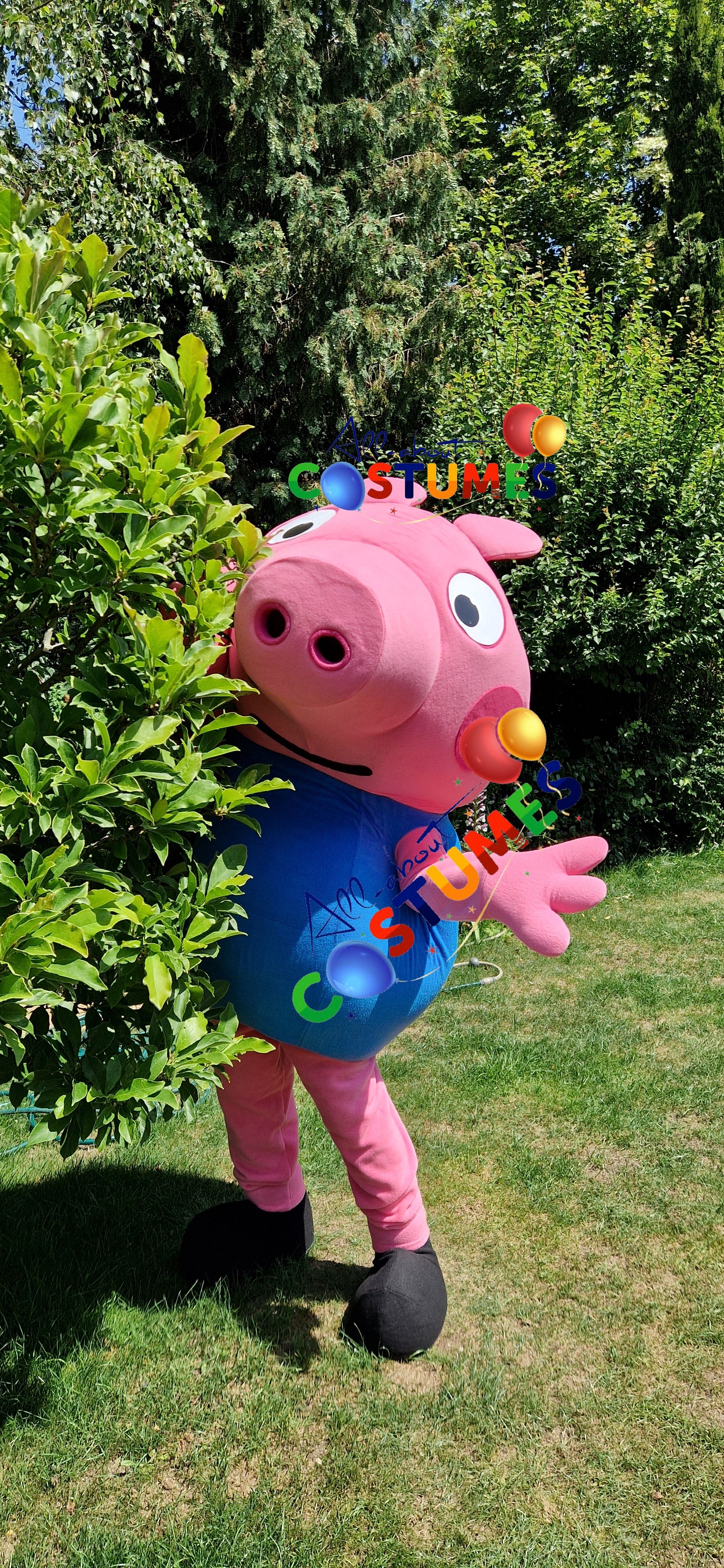 George Pig Family