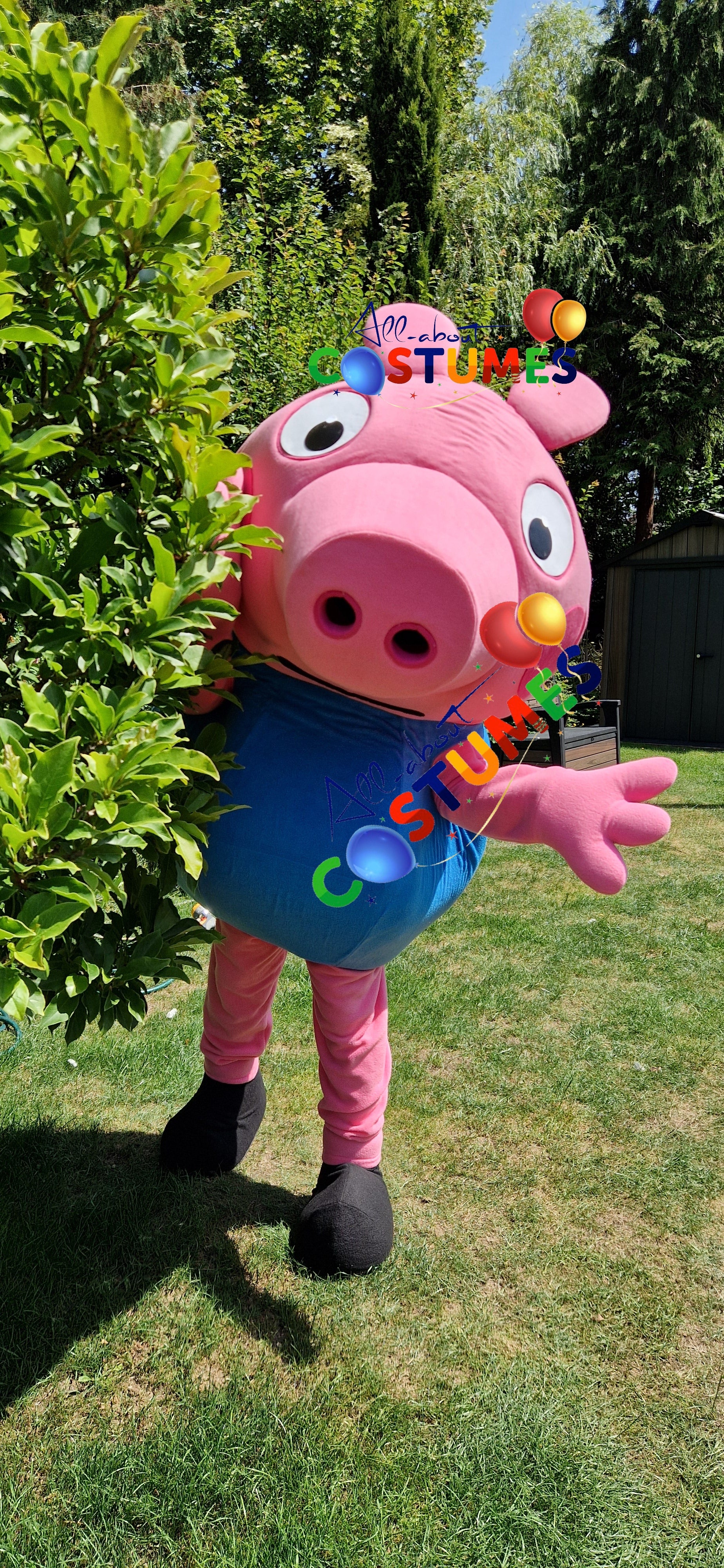 George Pig Family