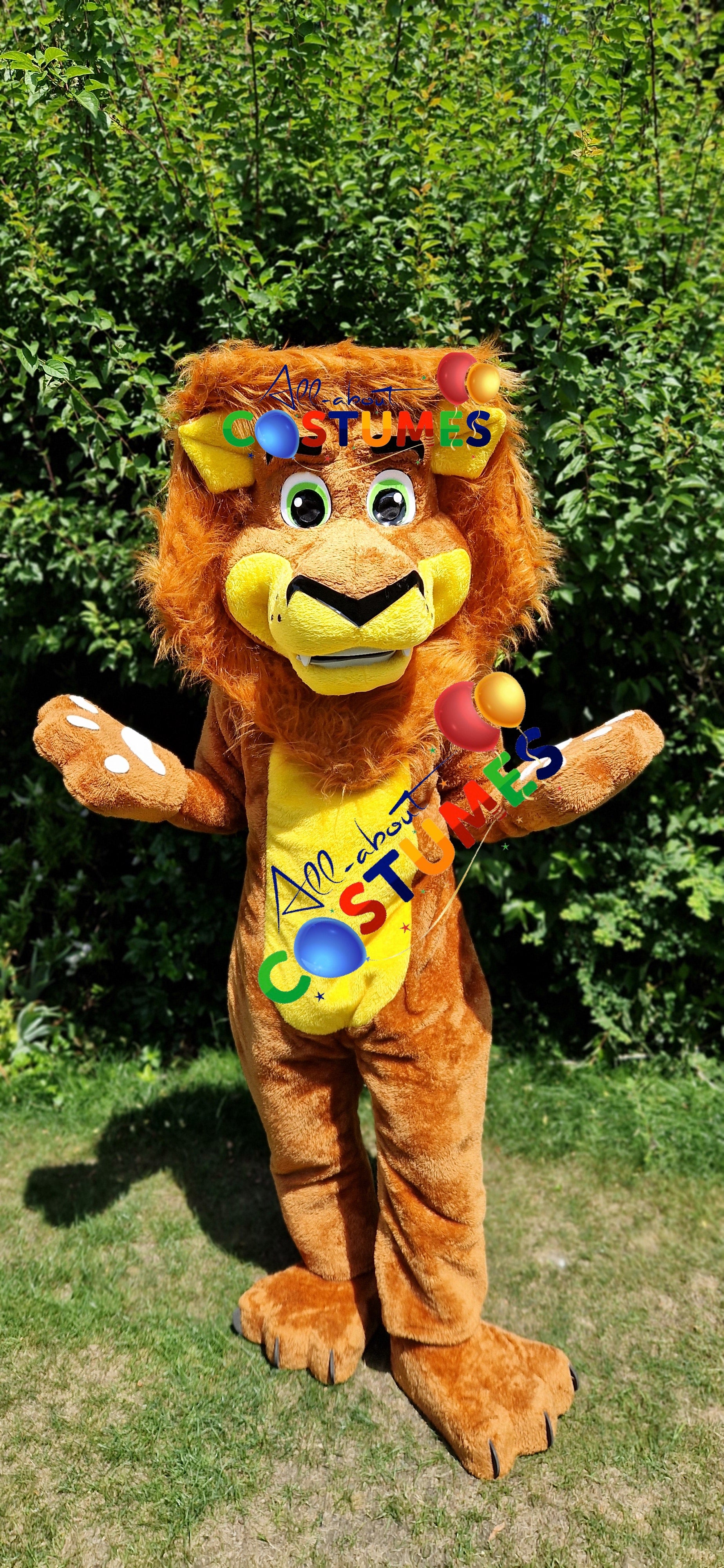 Safari Lion Costume