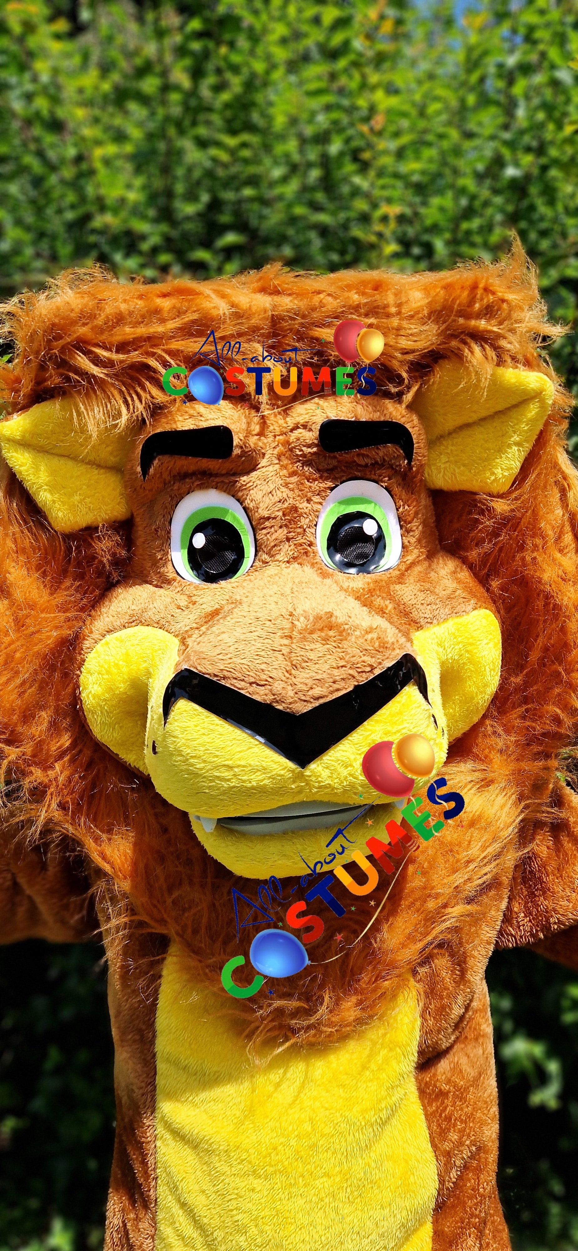 Safari Lion Costume