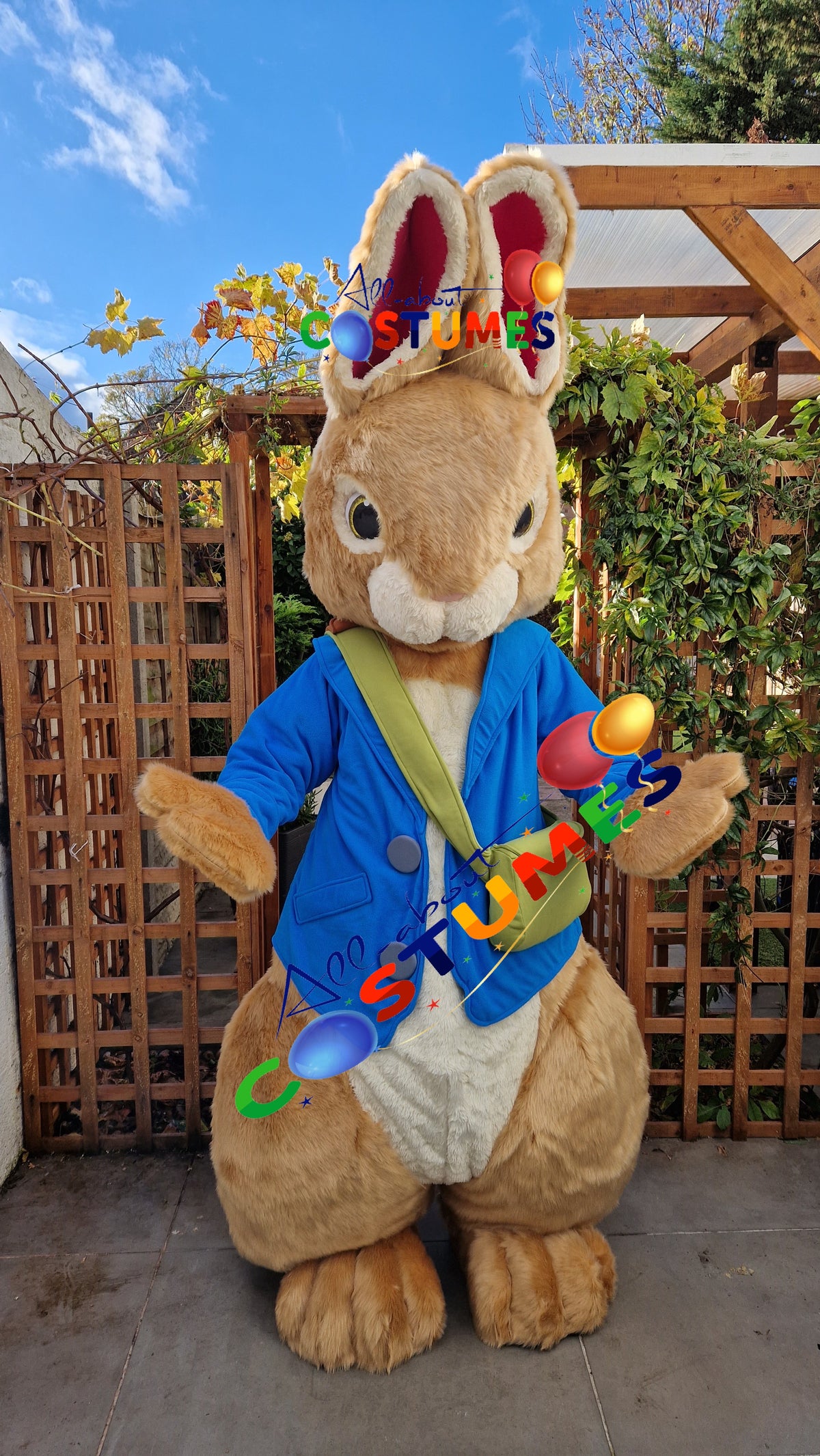Peter Rabbit costumes (All About Costumes)