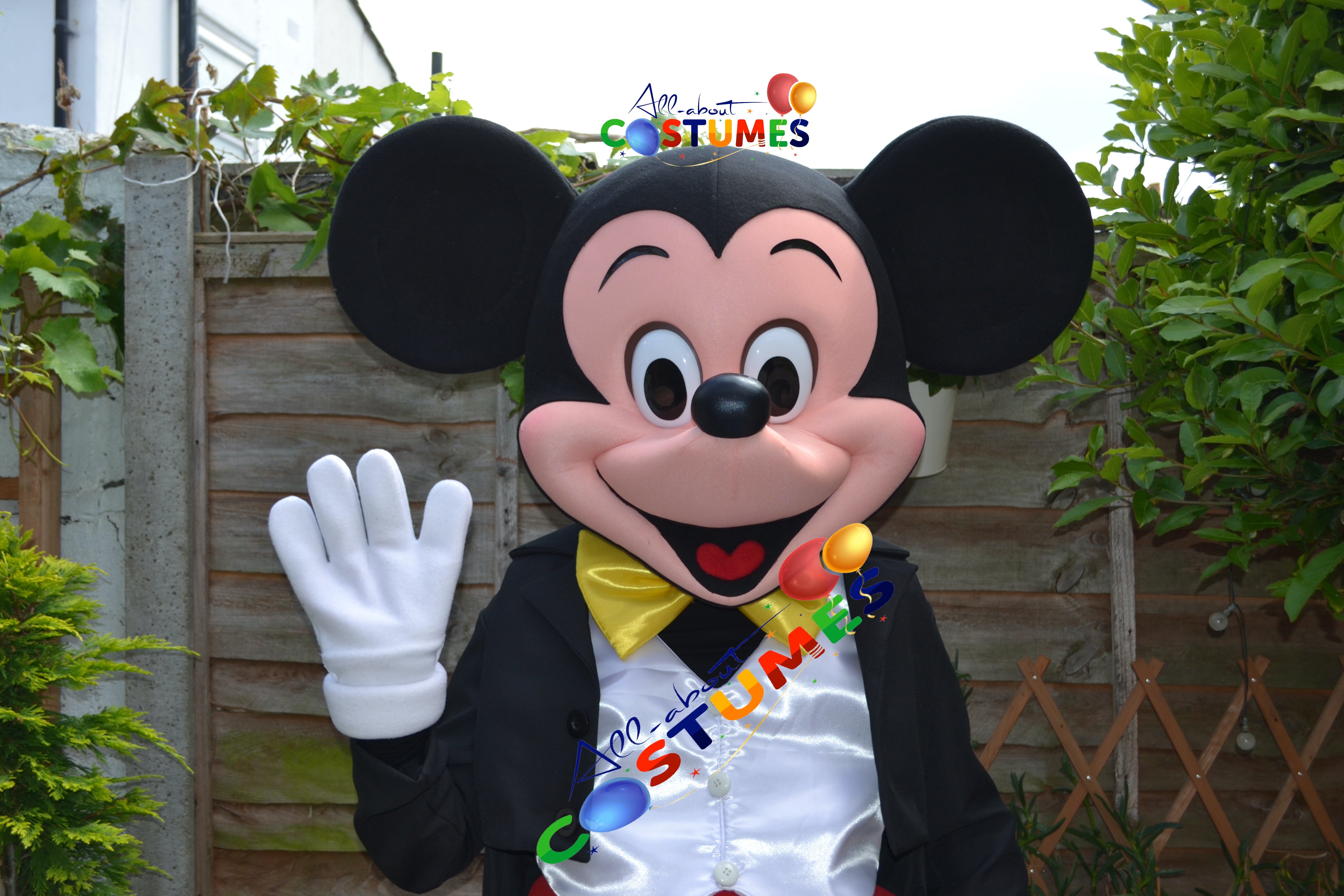 Mickey Mouse Costume
