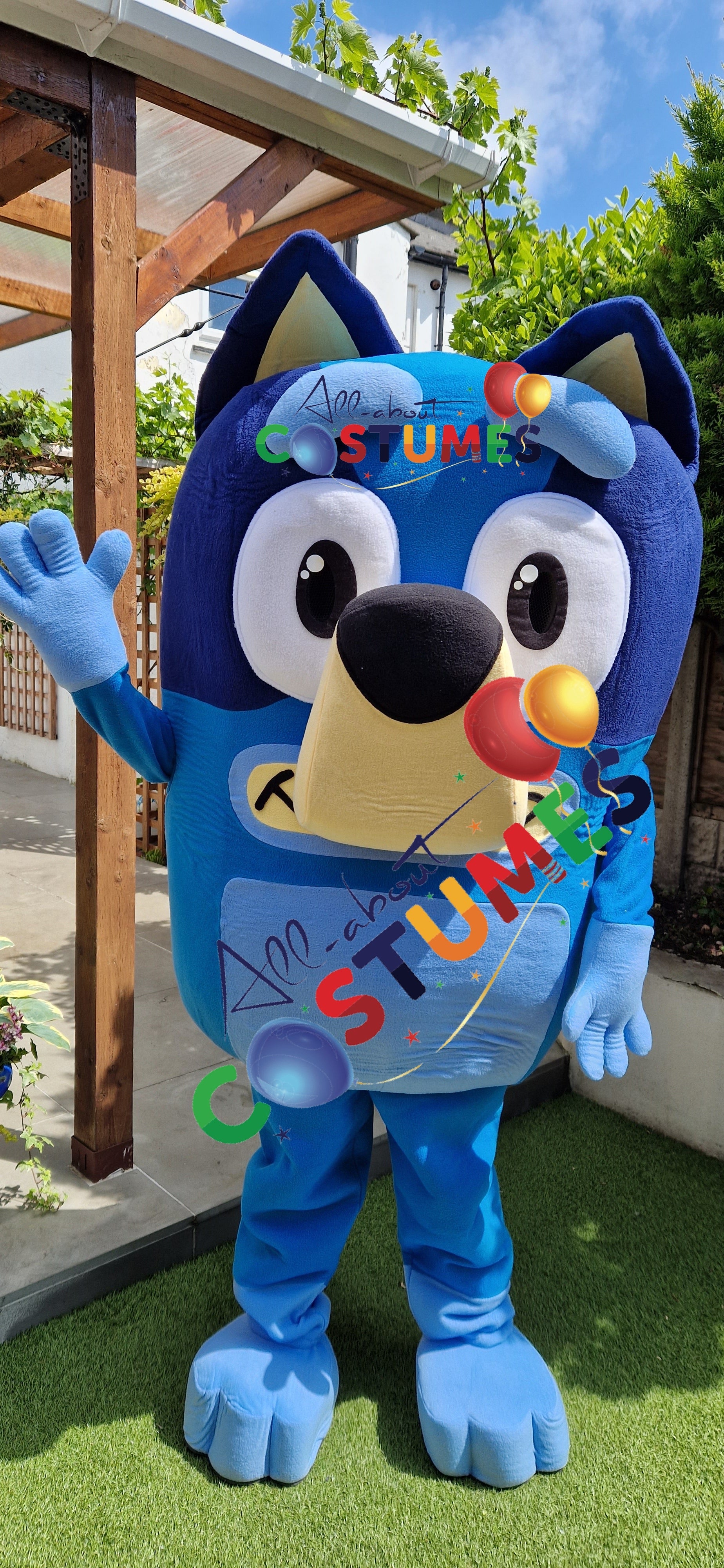 X Bluey B