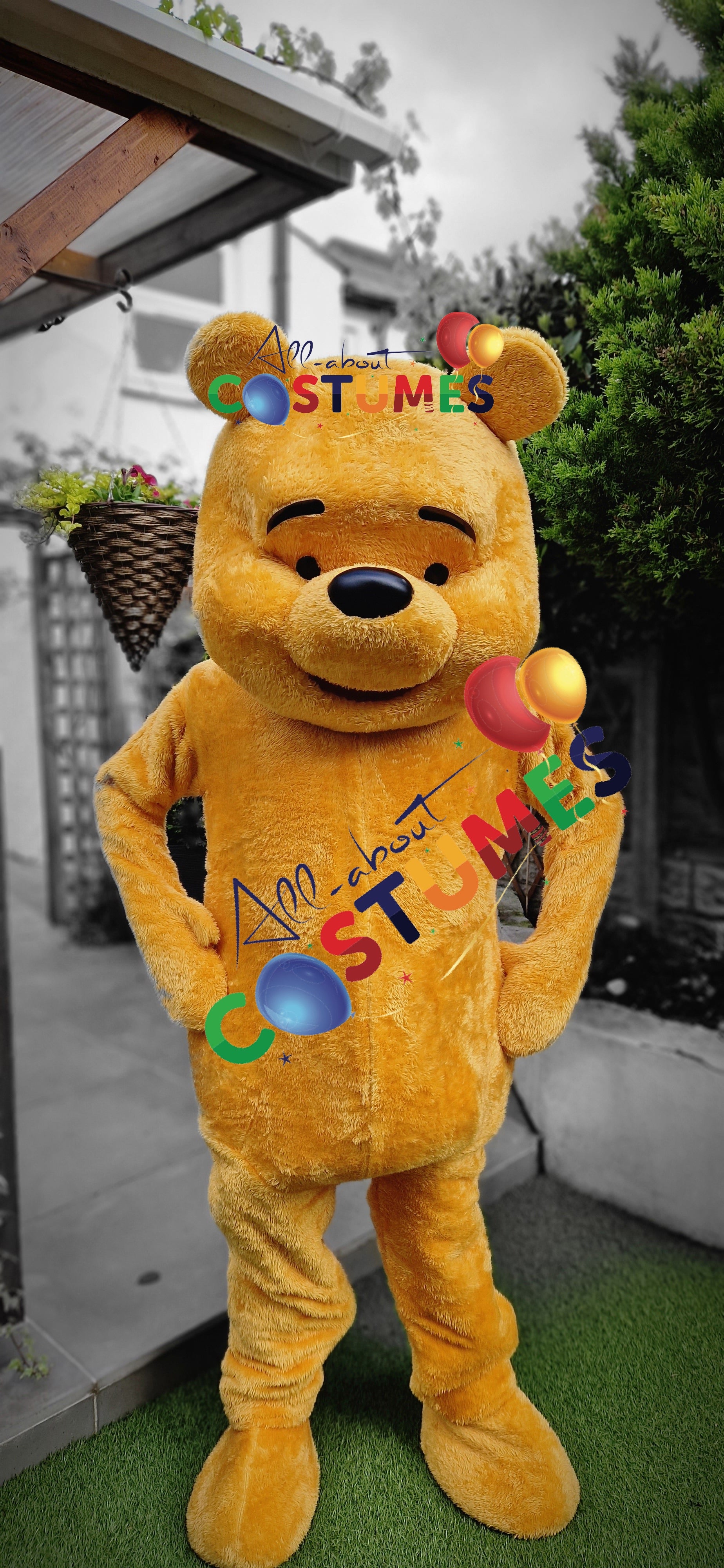 Teddy Bear