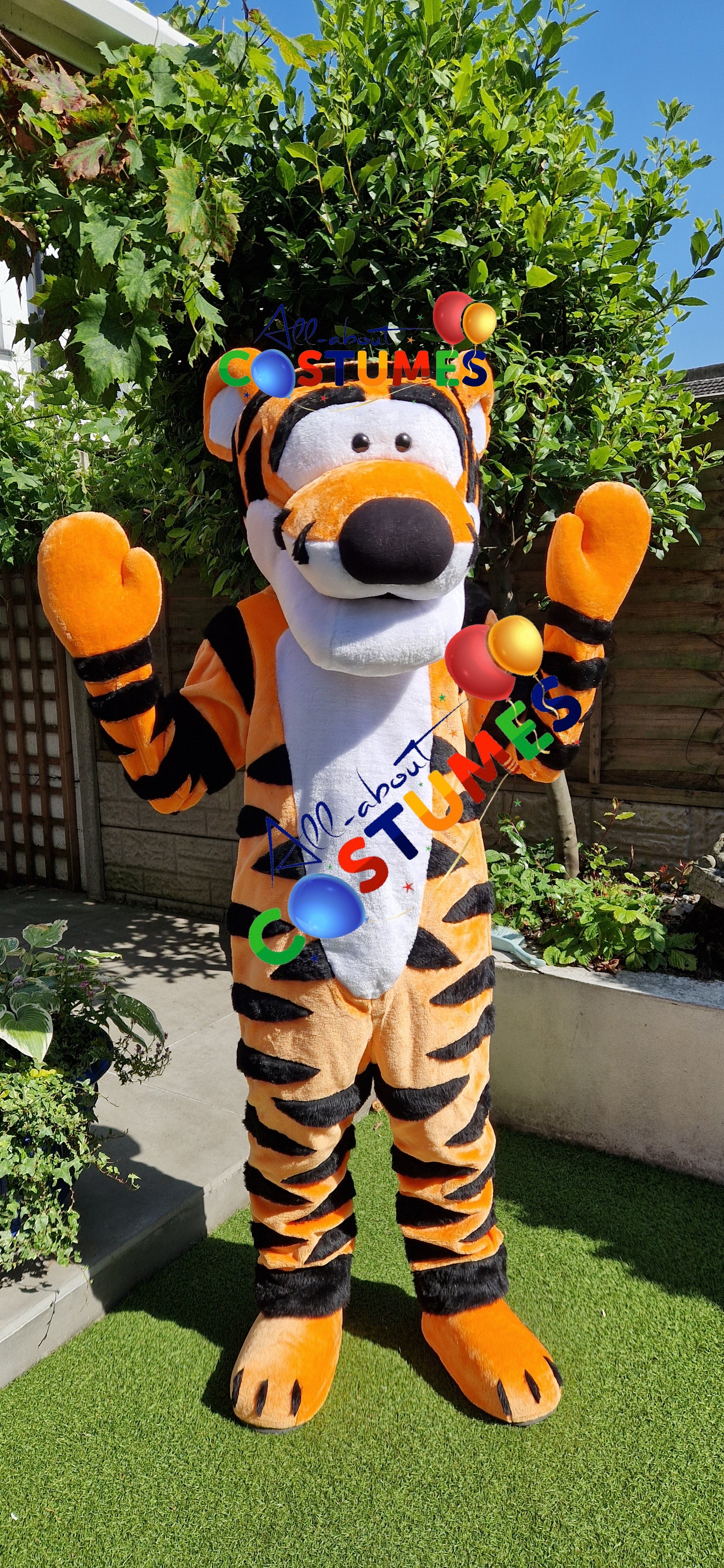Tigger Winnie the Pooh Bear