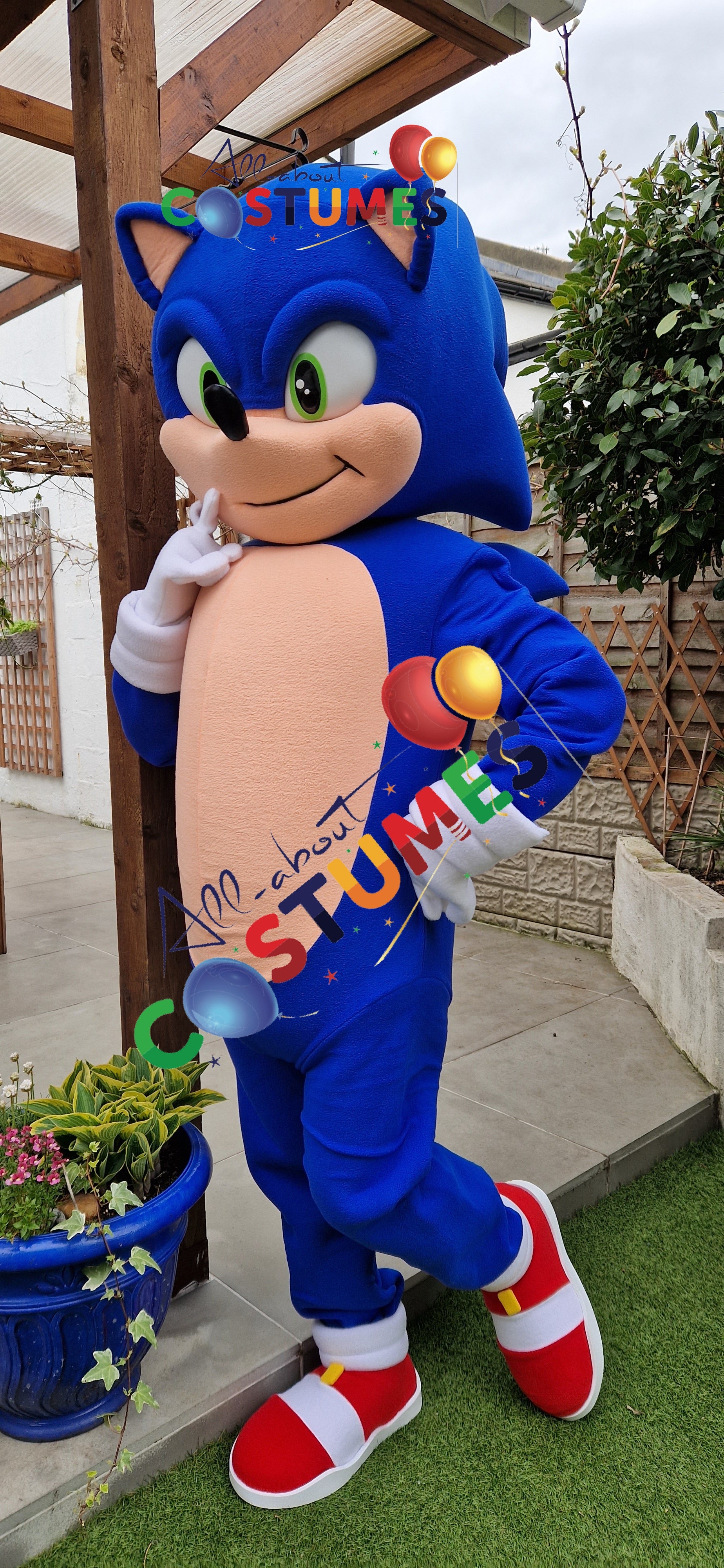 Sonic rápido de lujo