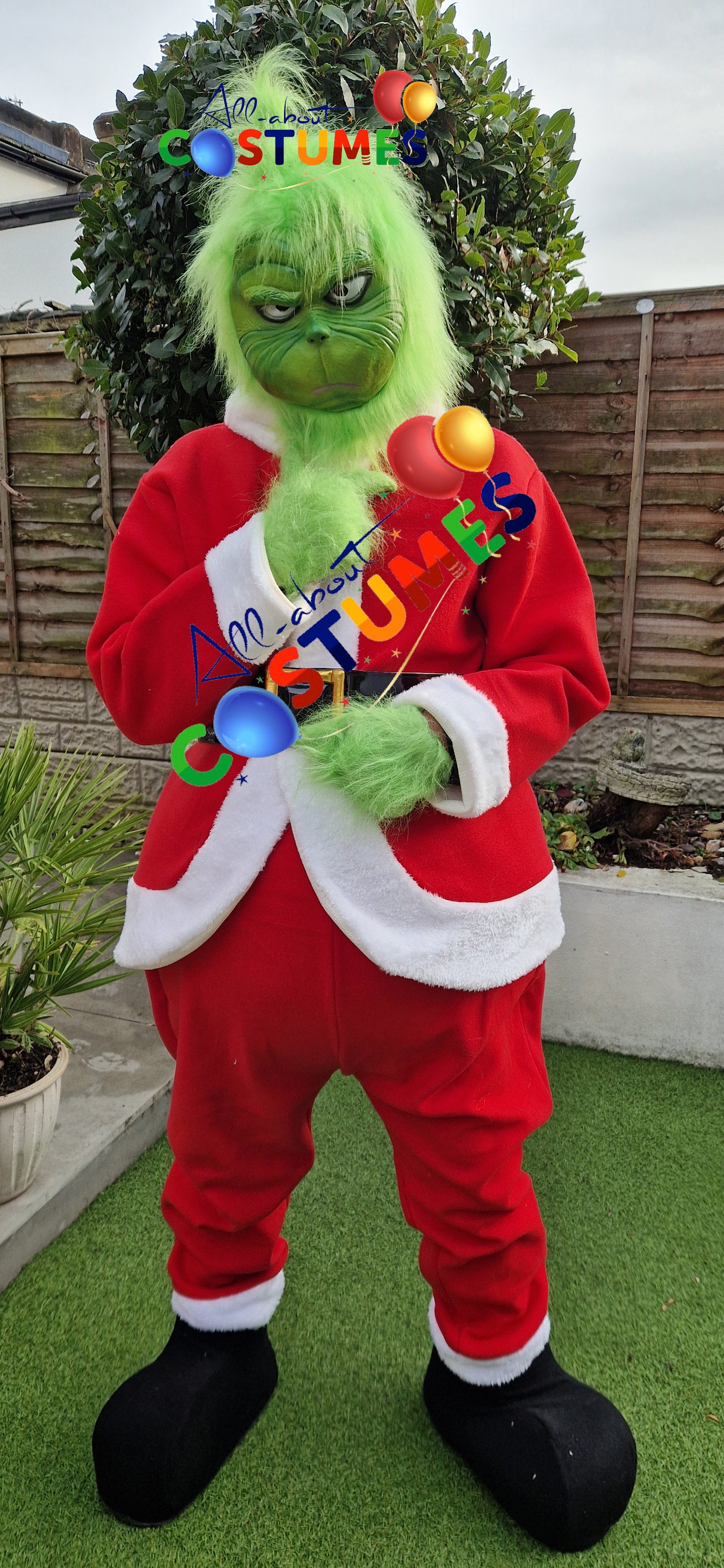 Grinch Christmas Special Edition