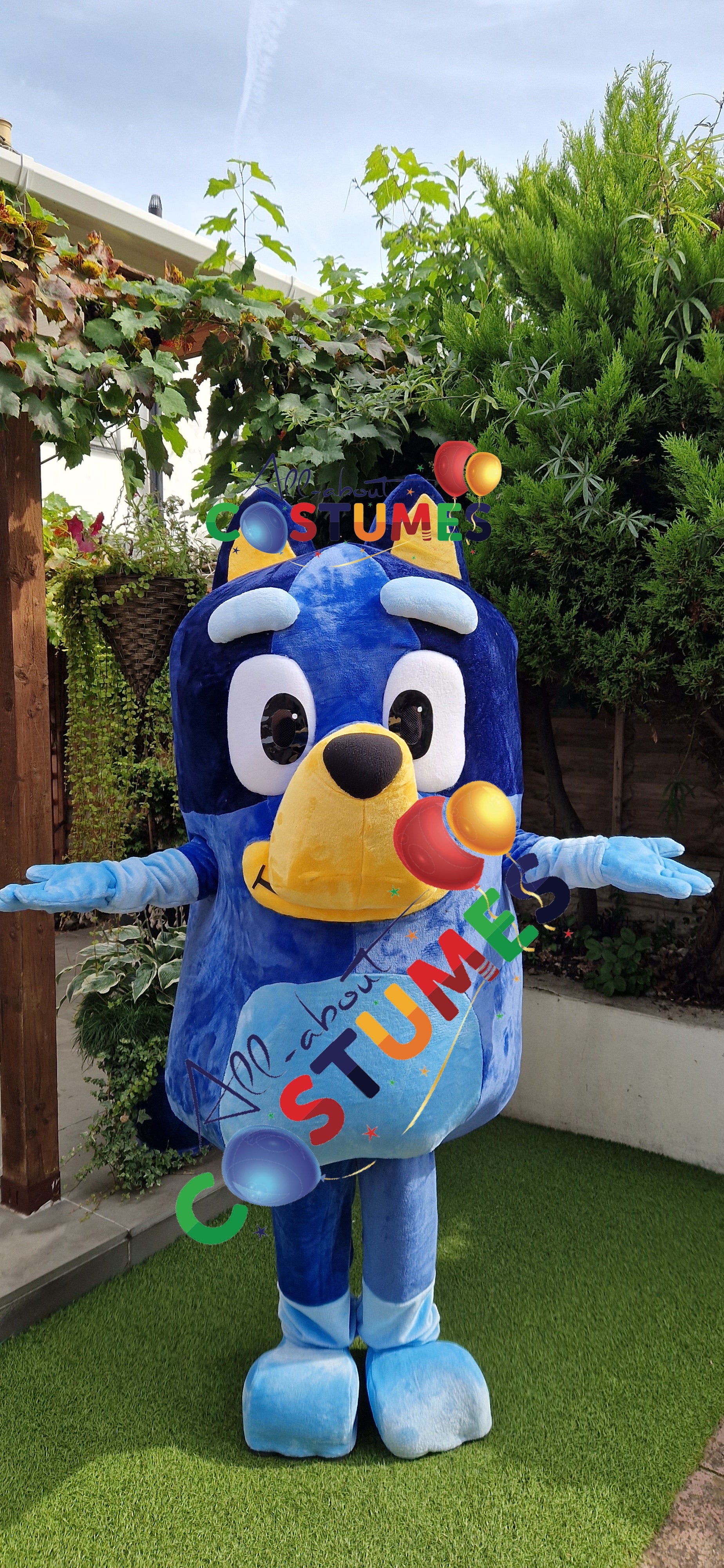 X Bluey C