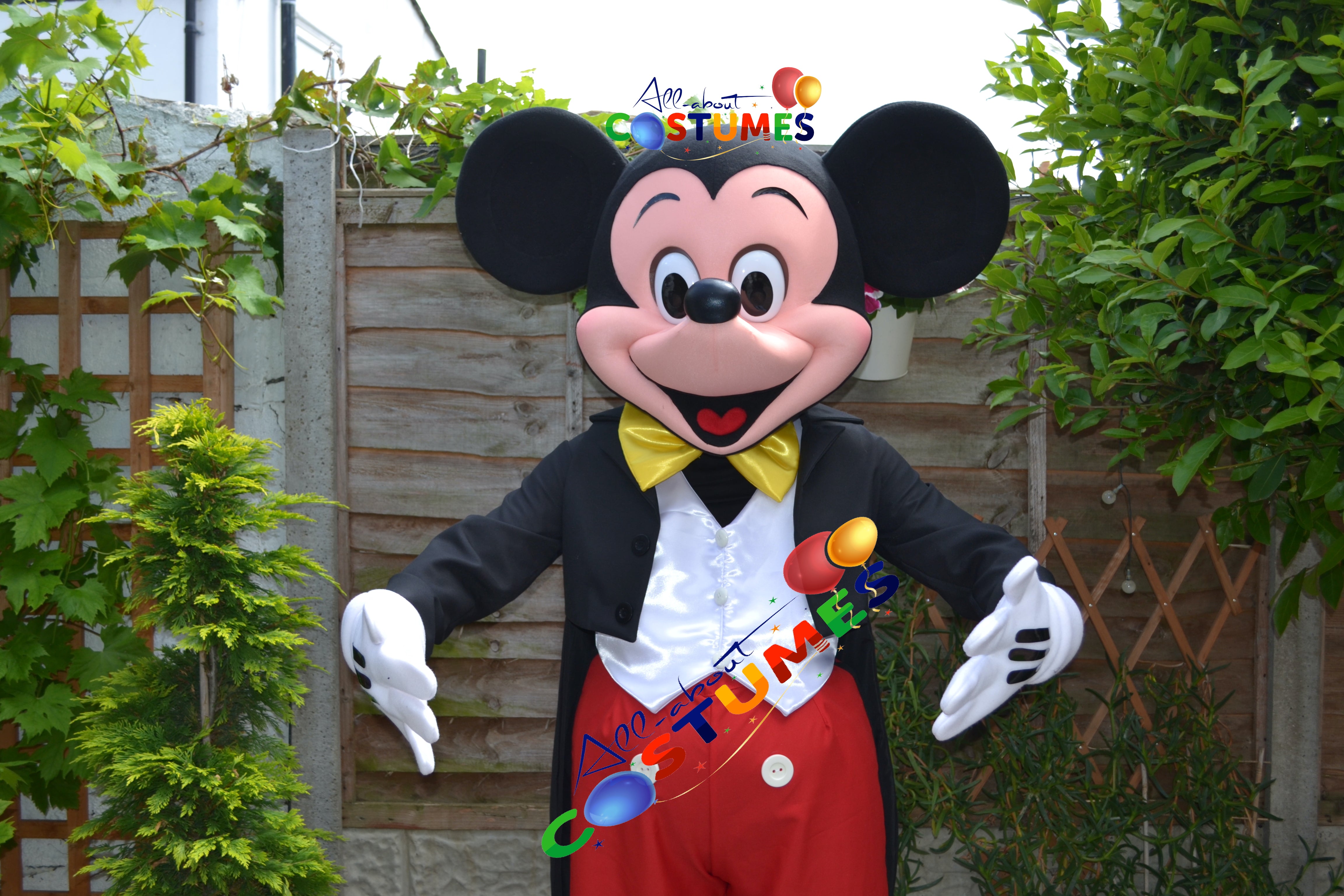 Mickey Mouse Costume
