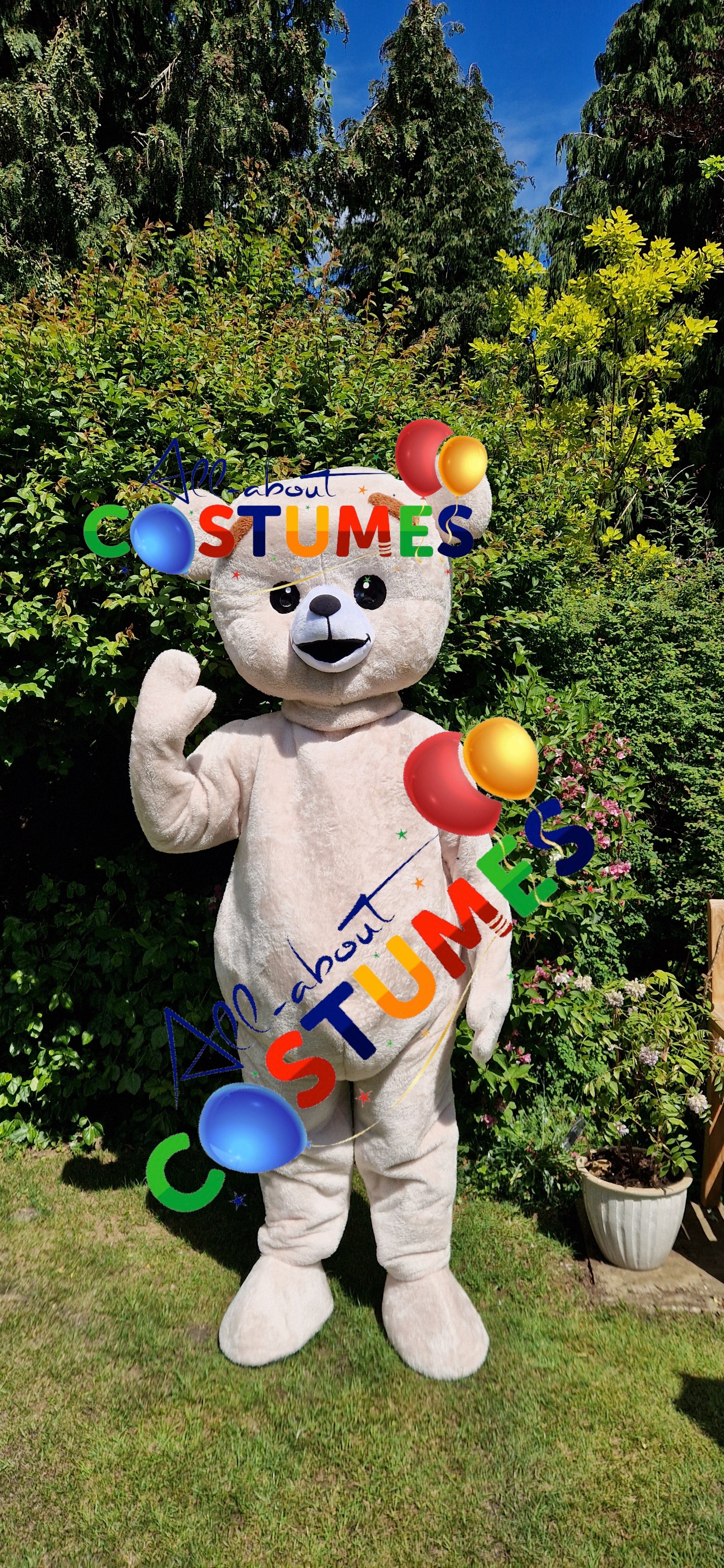Premium Teddy Bear