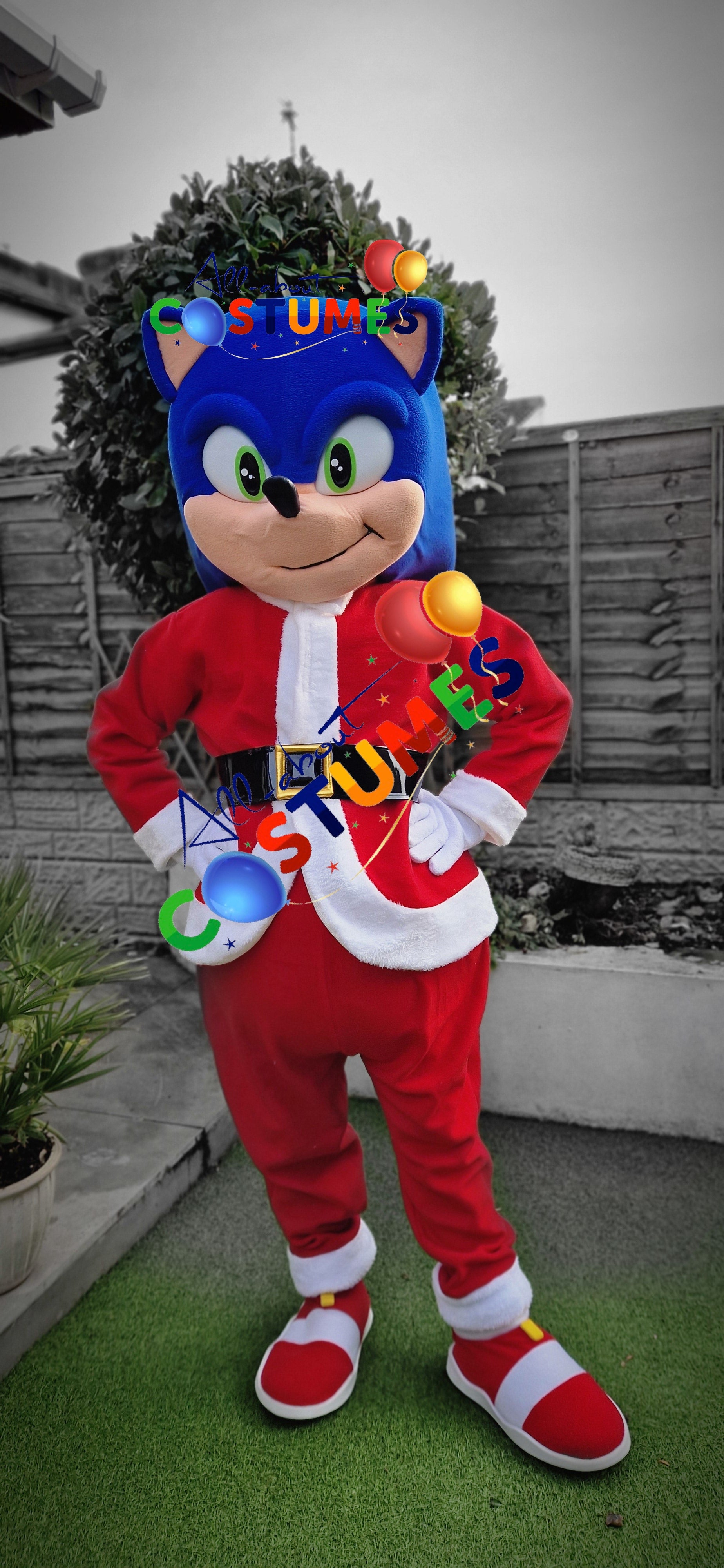Z Elf en el estante Navidad