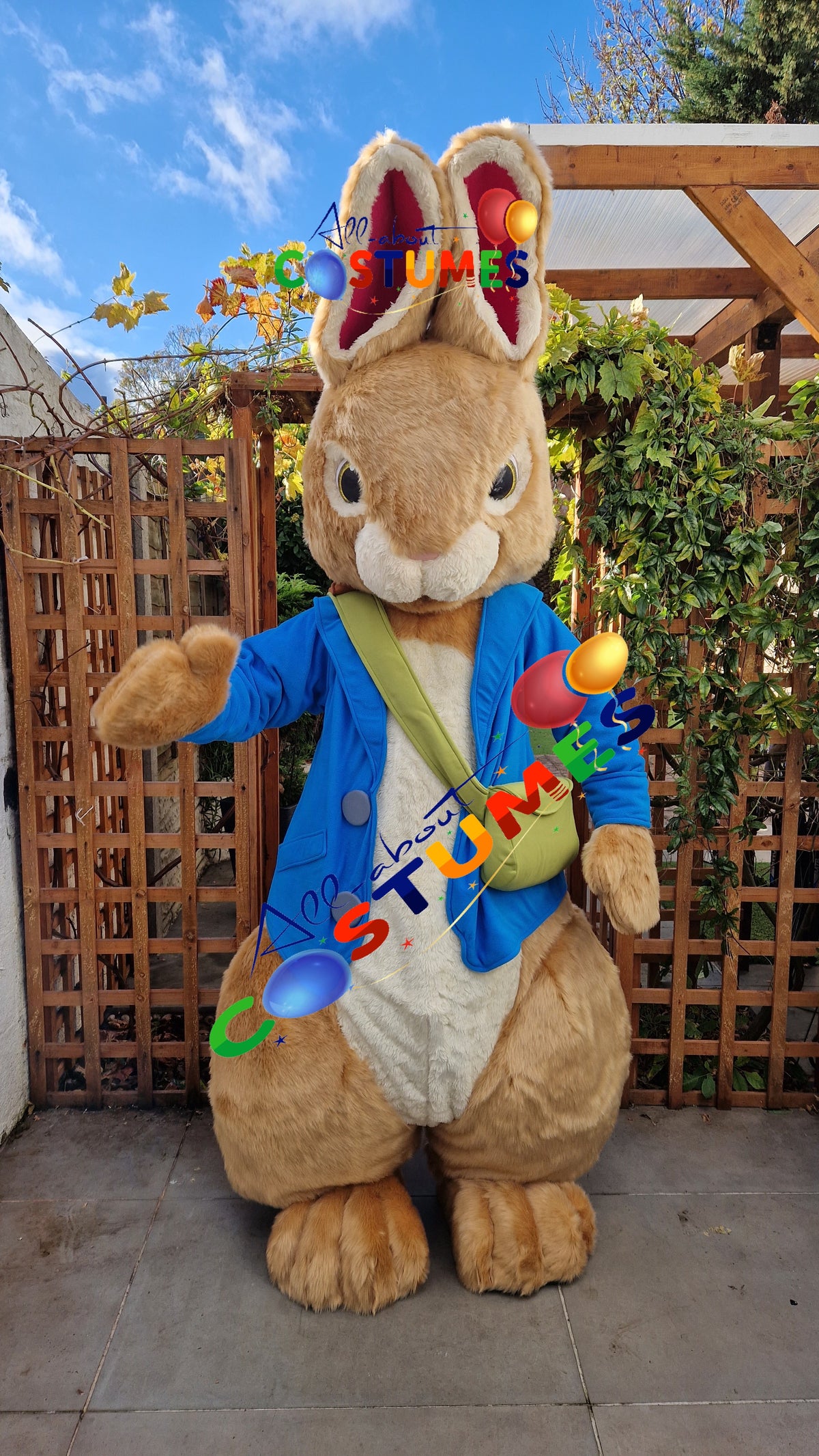 Peter Rabbit costumes (All About Costumes)
