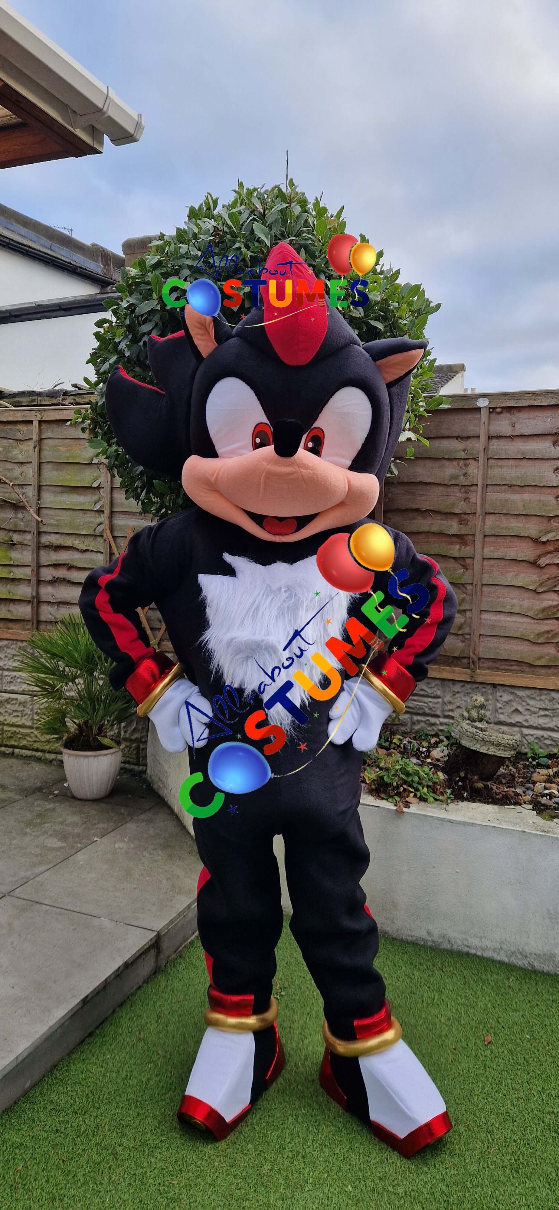 Shadow the Hedgehog