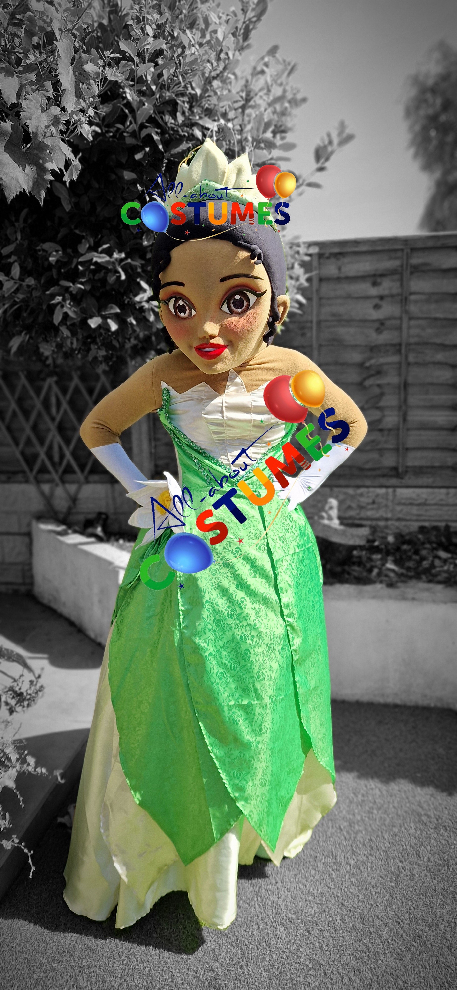 Princess Tiana Costume Hire Secure Fun