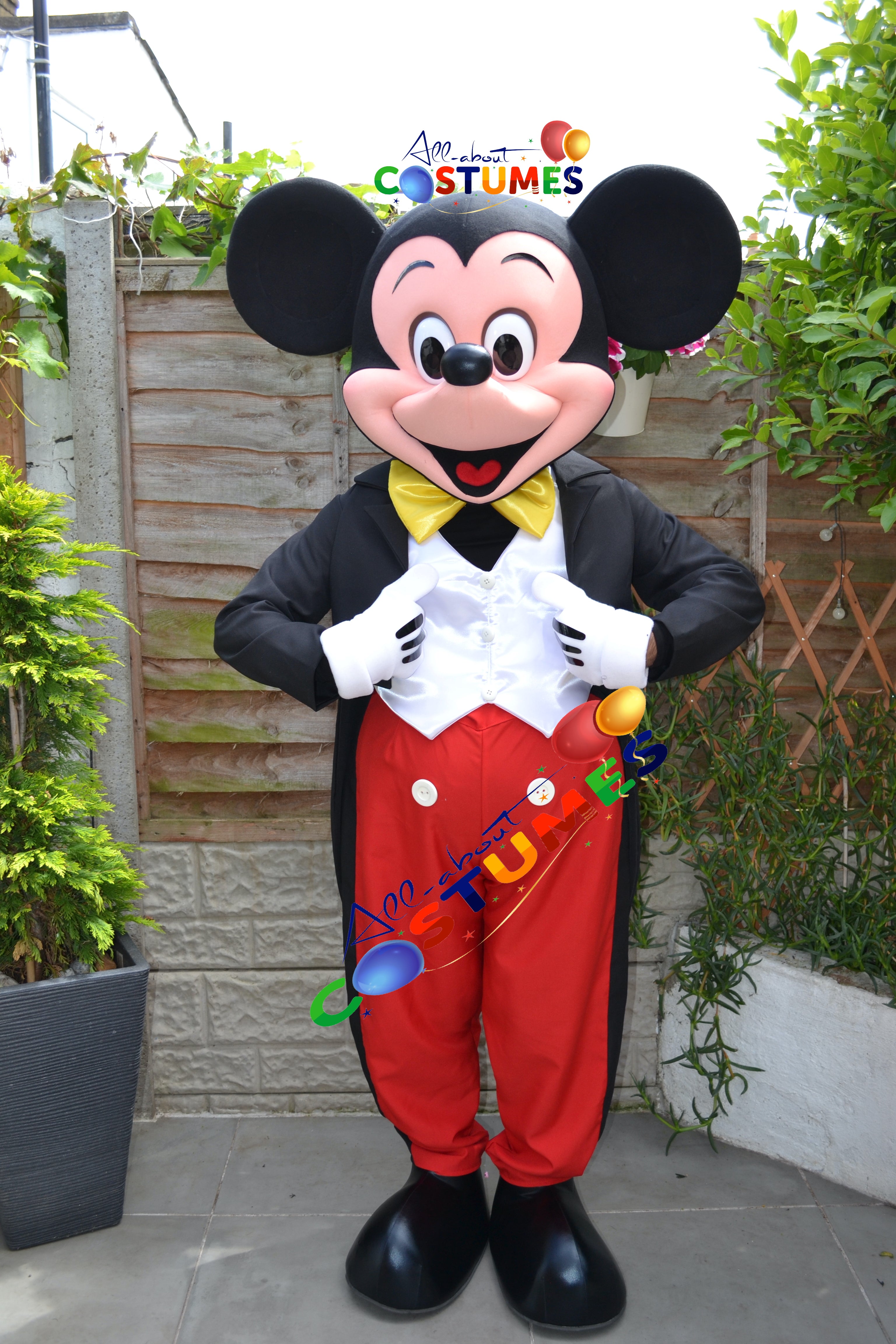 Mickey Mouse Costume