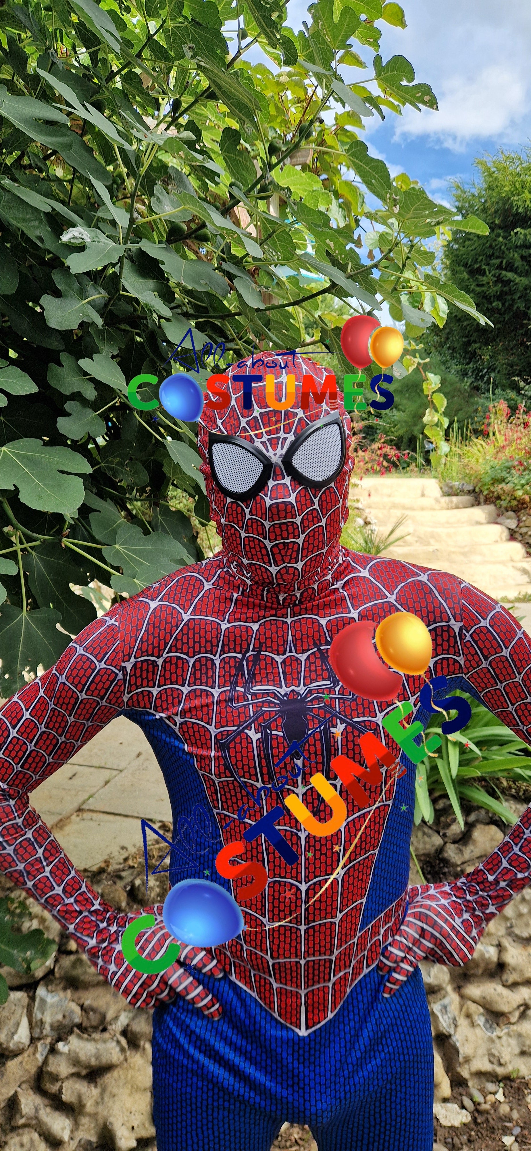 Hombre Araña
