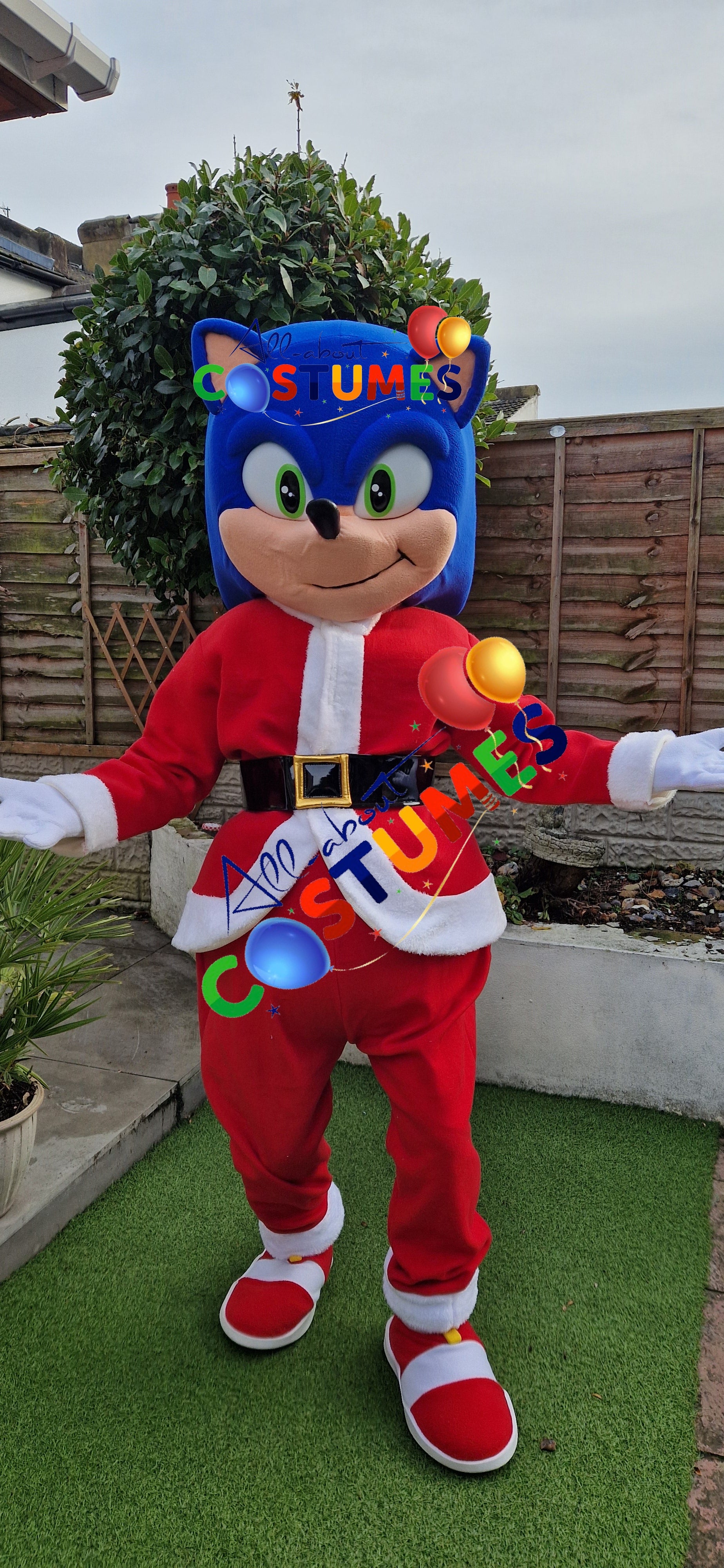 Z Elf en el estante Navidad
