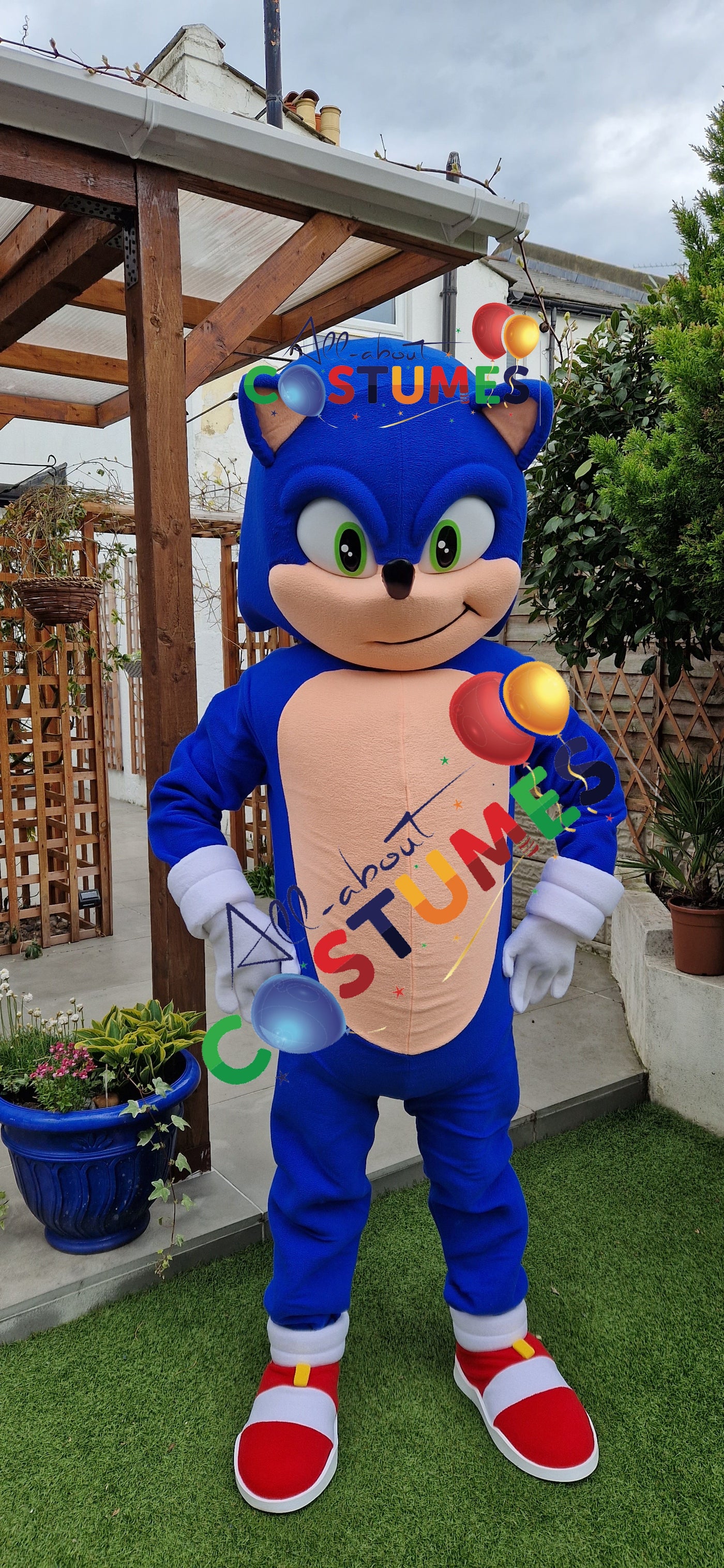 Sonic rápido de lujo