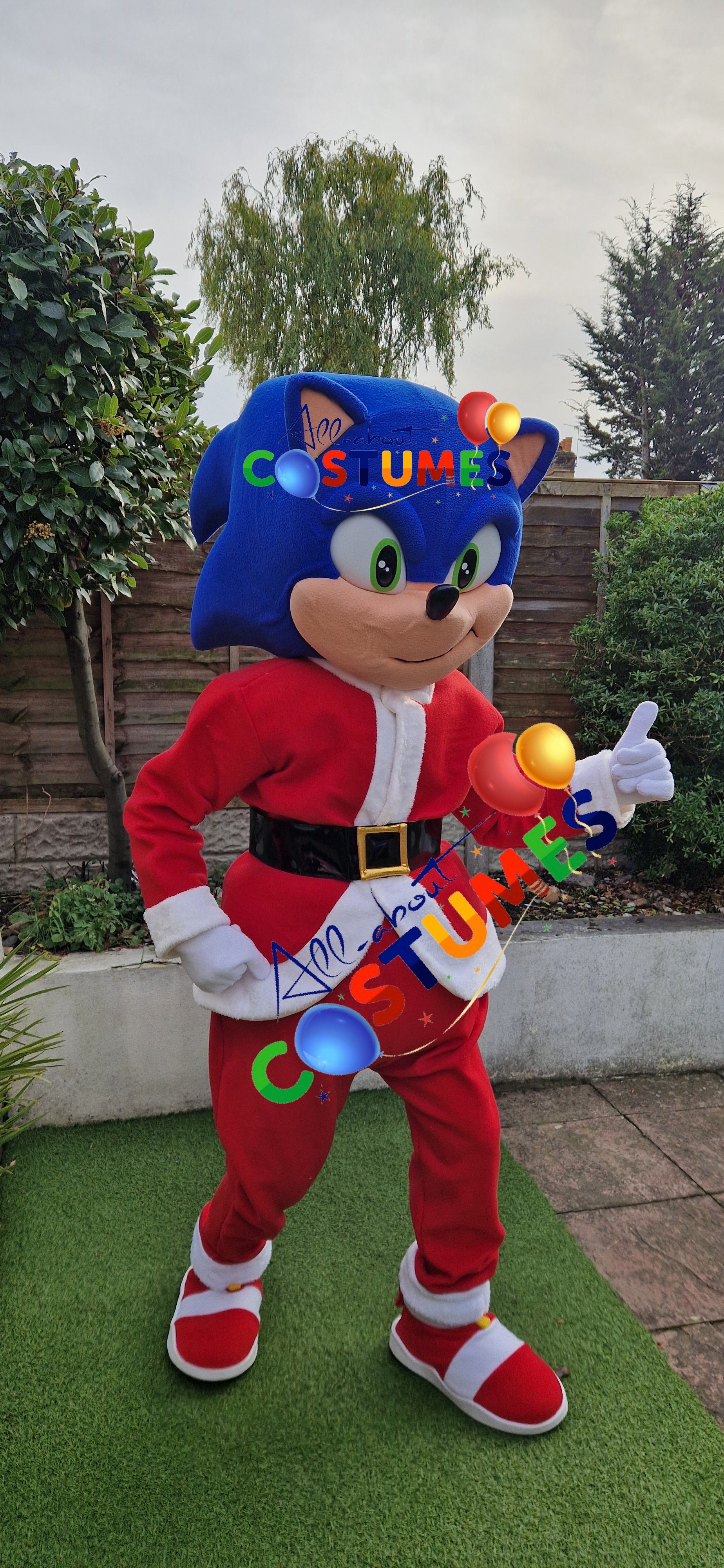 Z Elf en el estante Navidad