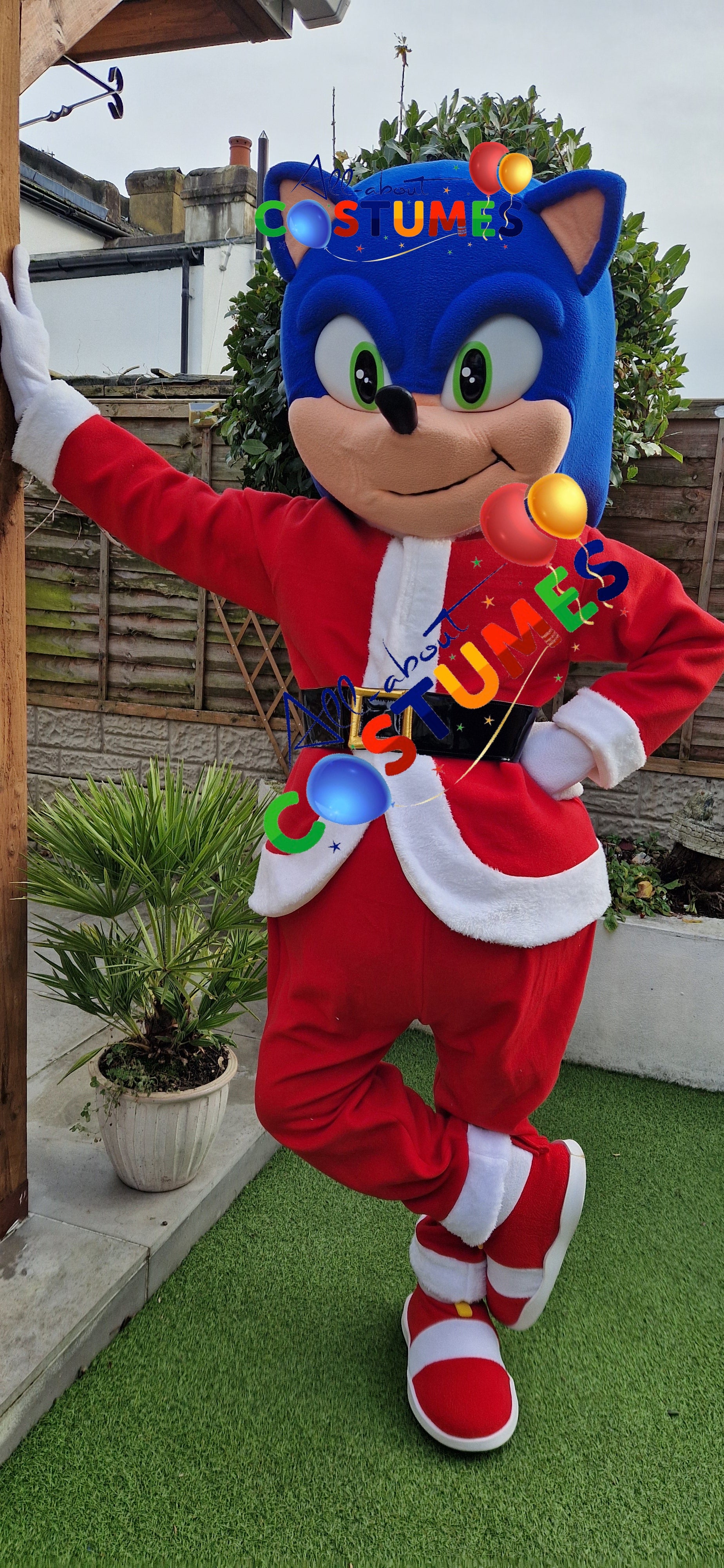 Z Elf en el estante Navidad
