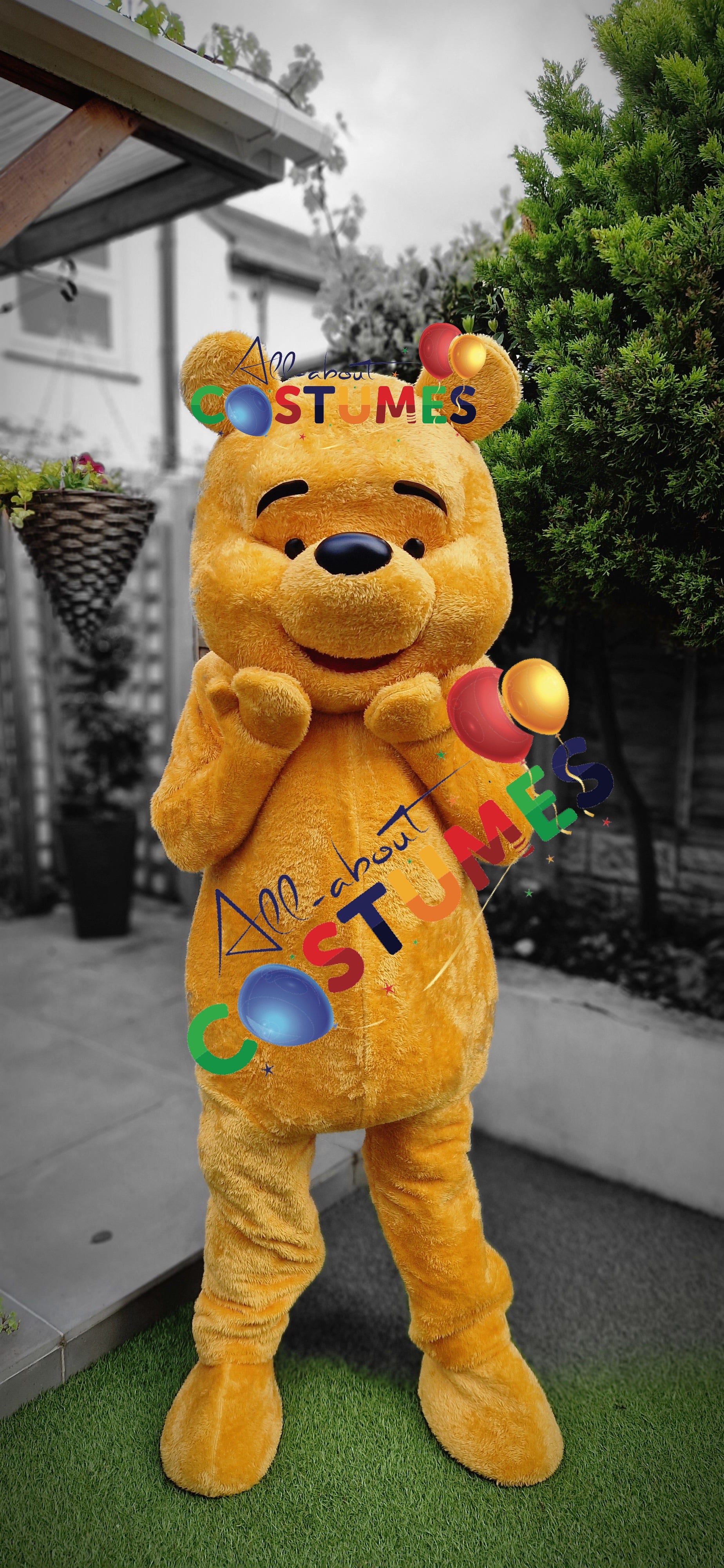 Teddy Bear