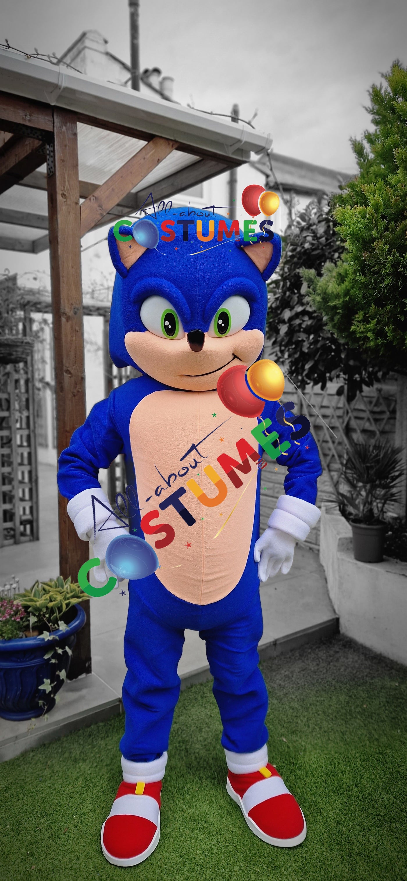 Deluxe Sonic Fast