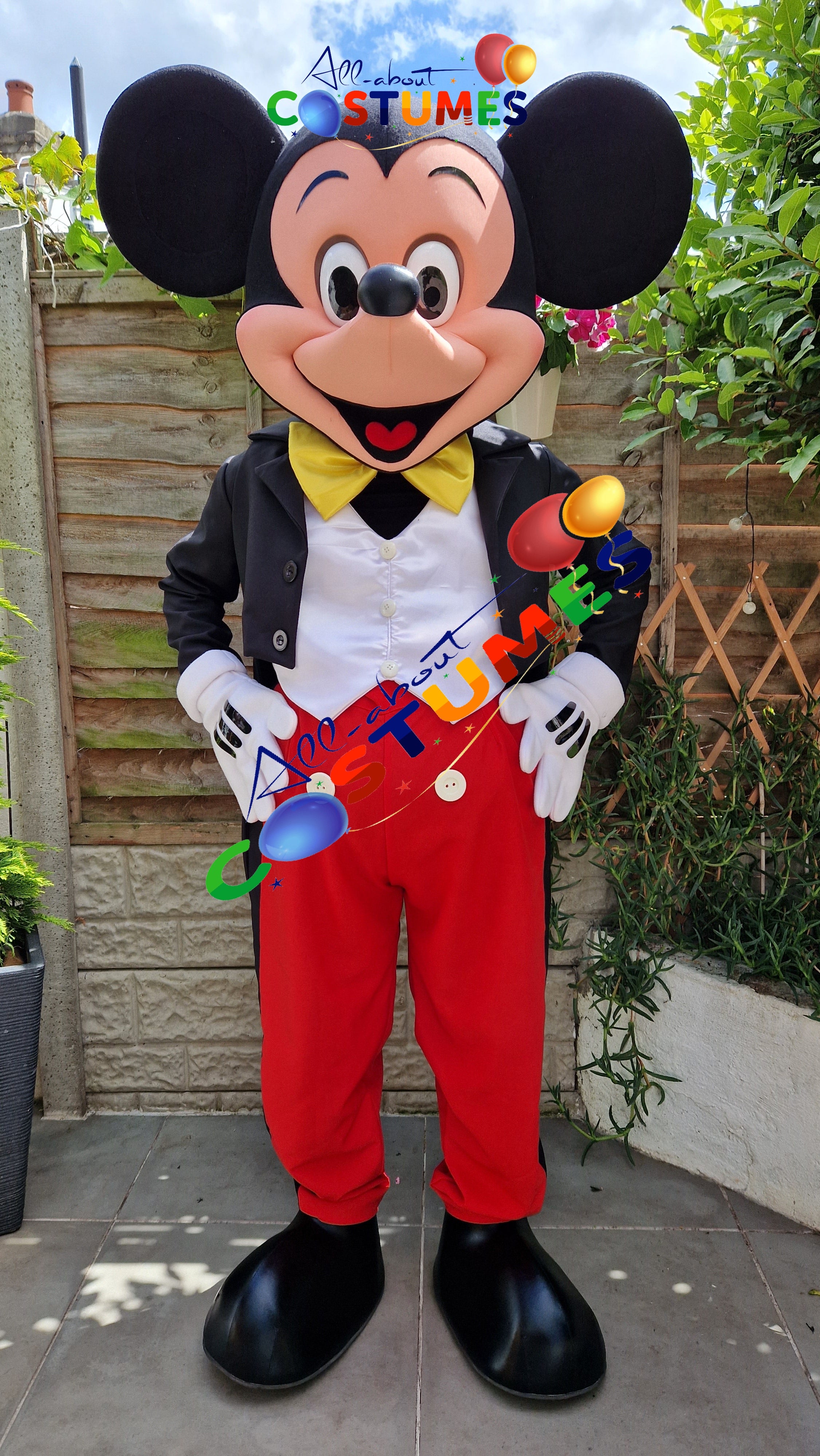 Mickey Mouse Costume