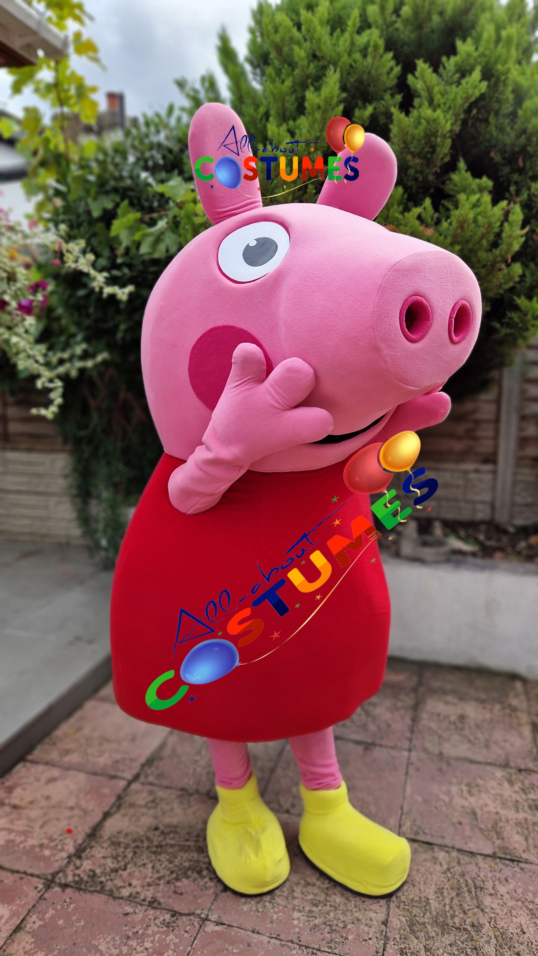 peppa-pig-a-costumes-all-about-costumes