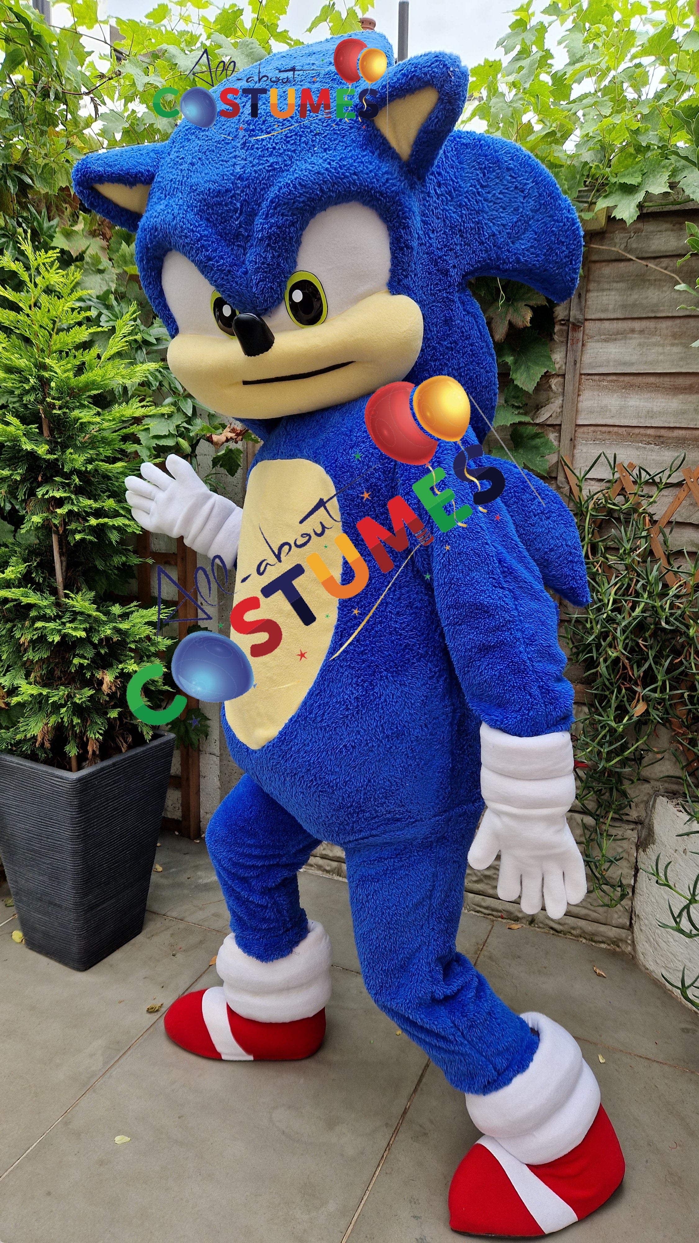 Sonic the Hedgehog Limited Edition