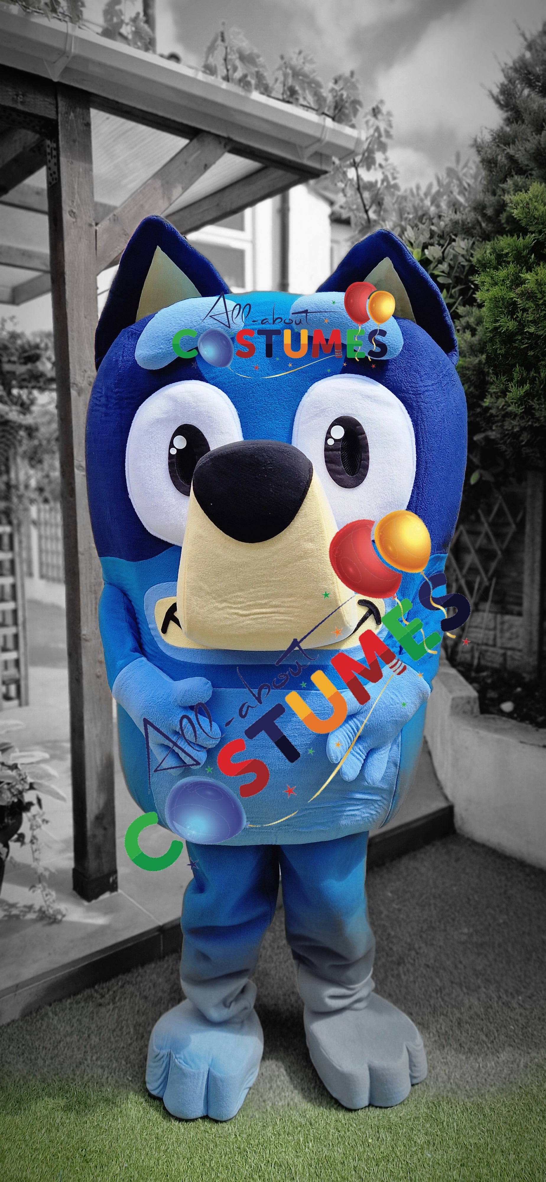 X Bluey B