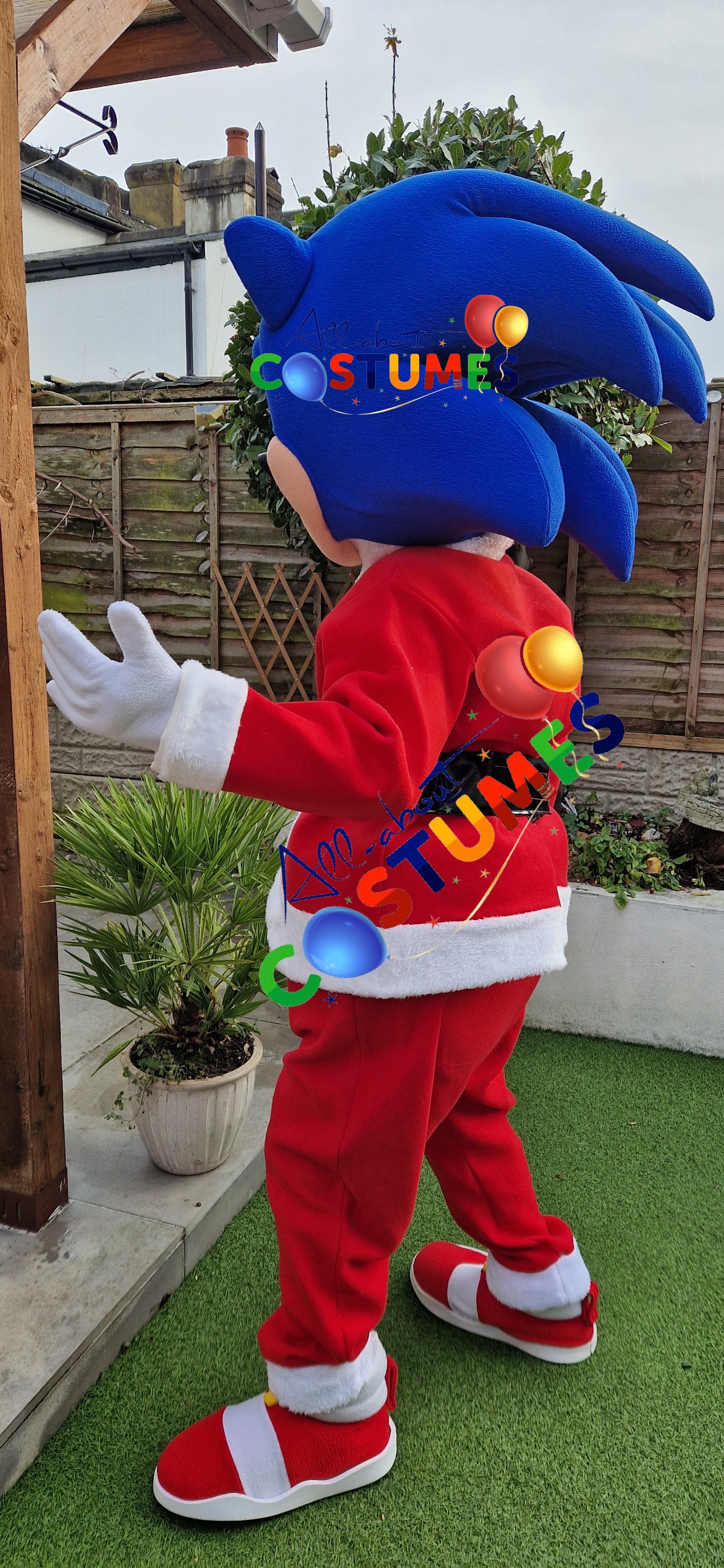 Z Elf en el estante Navidad