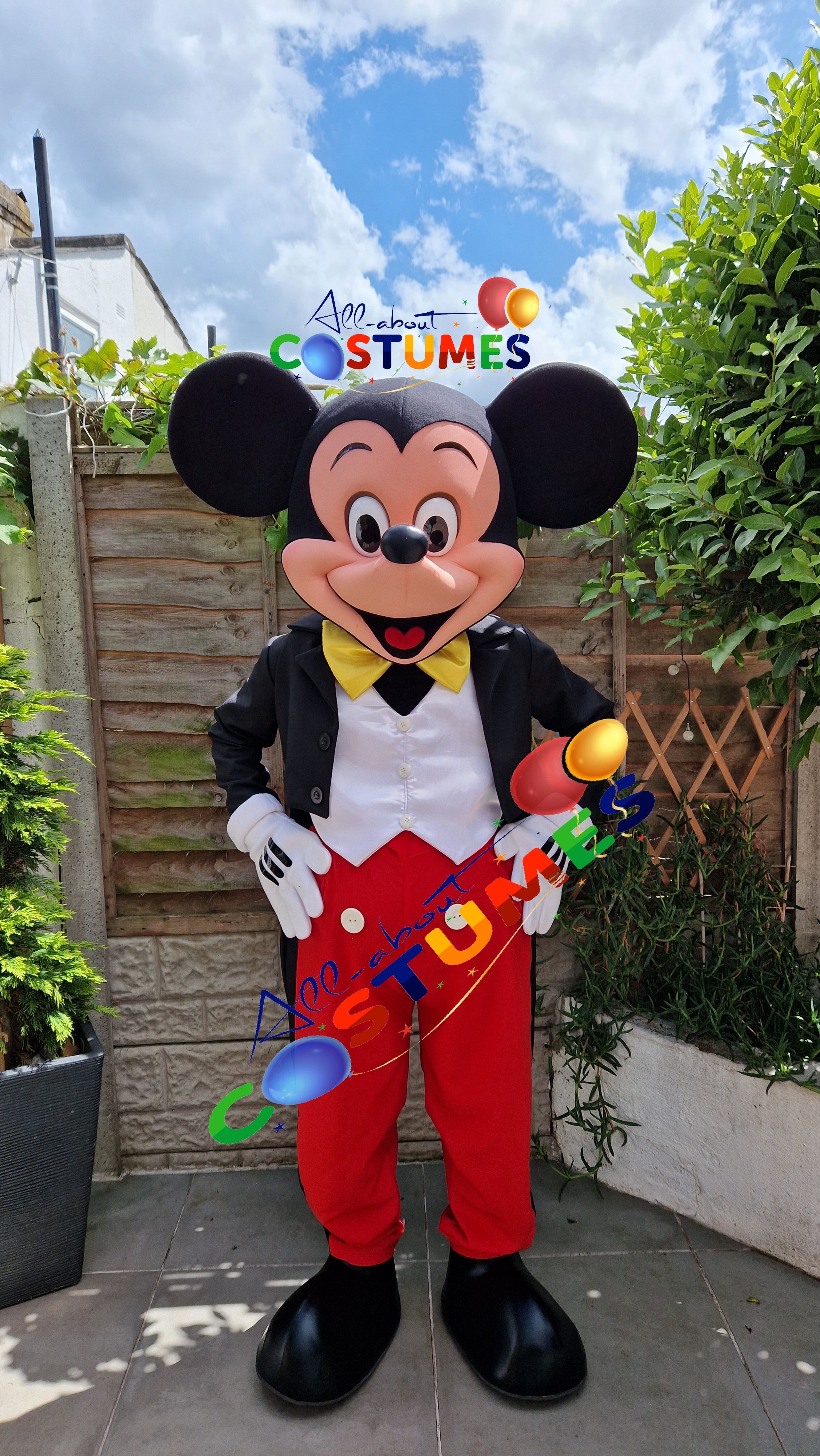 Mickey Mouse Costume