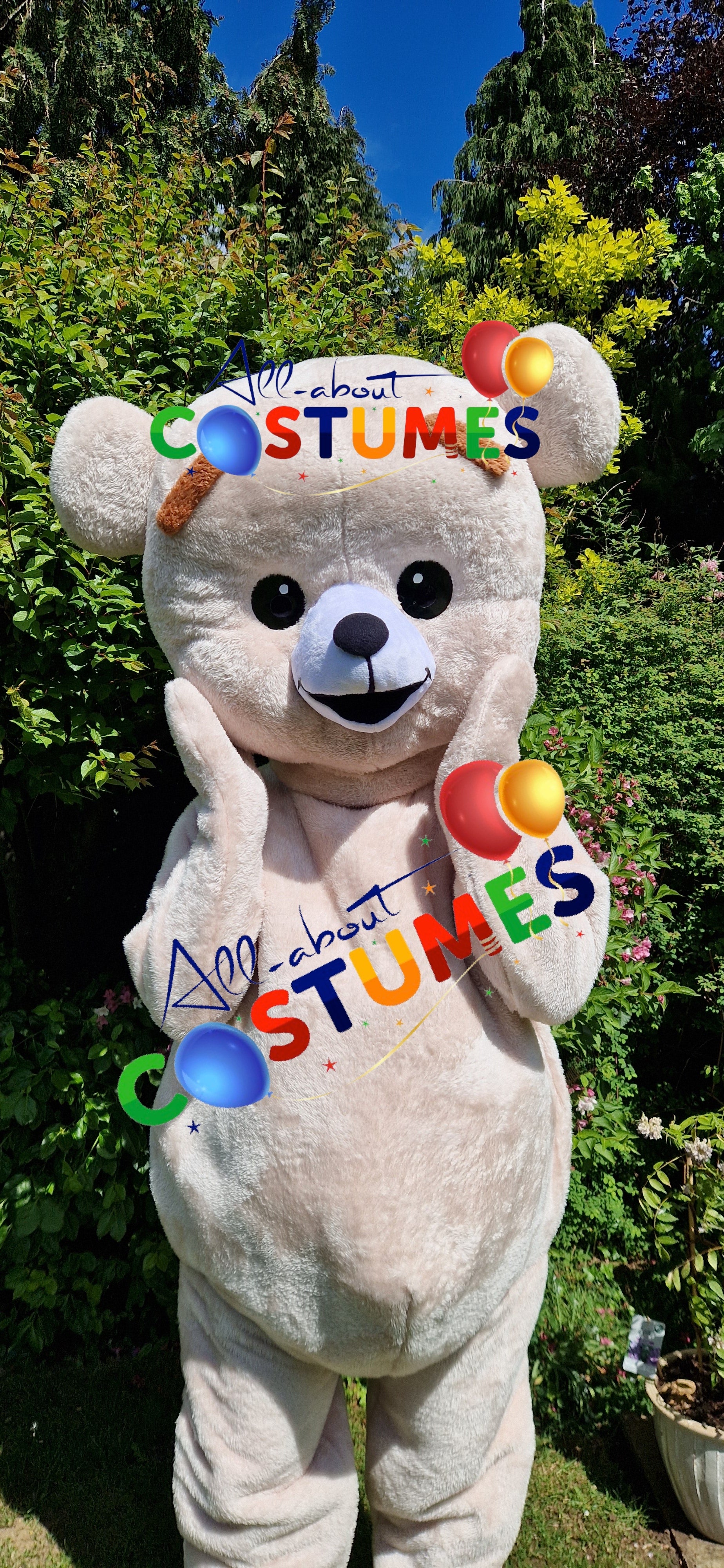Premium Teddy Bear