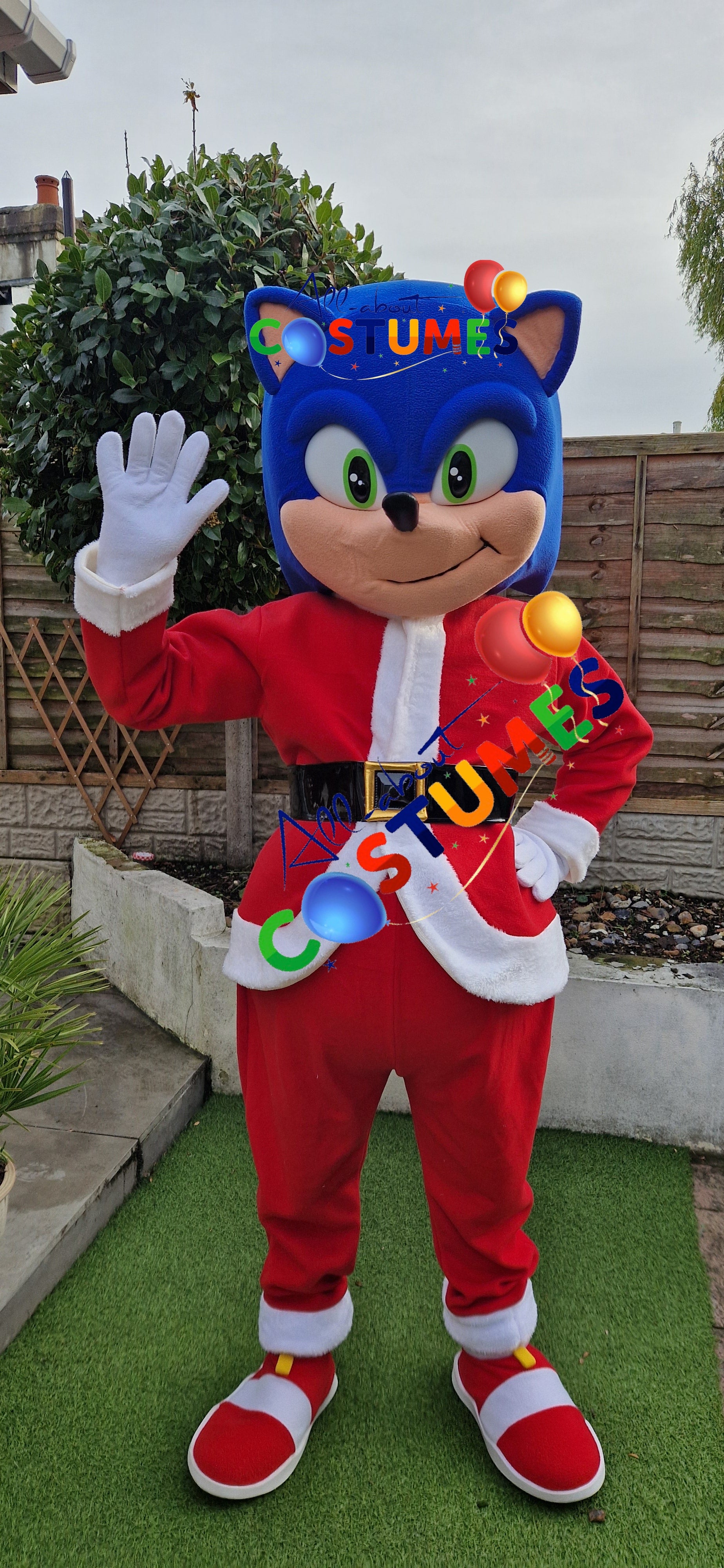 Z Elf en el estante Navidad