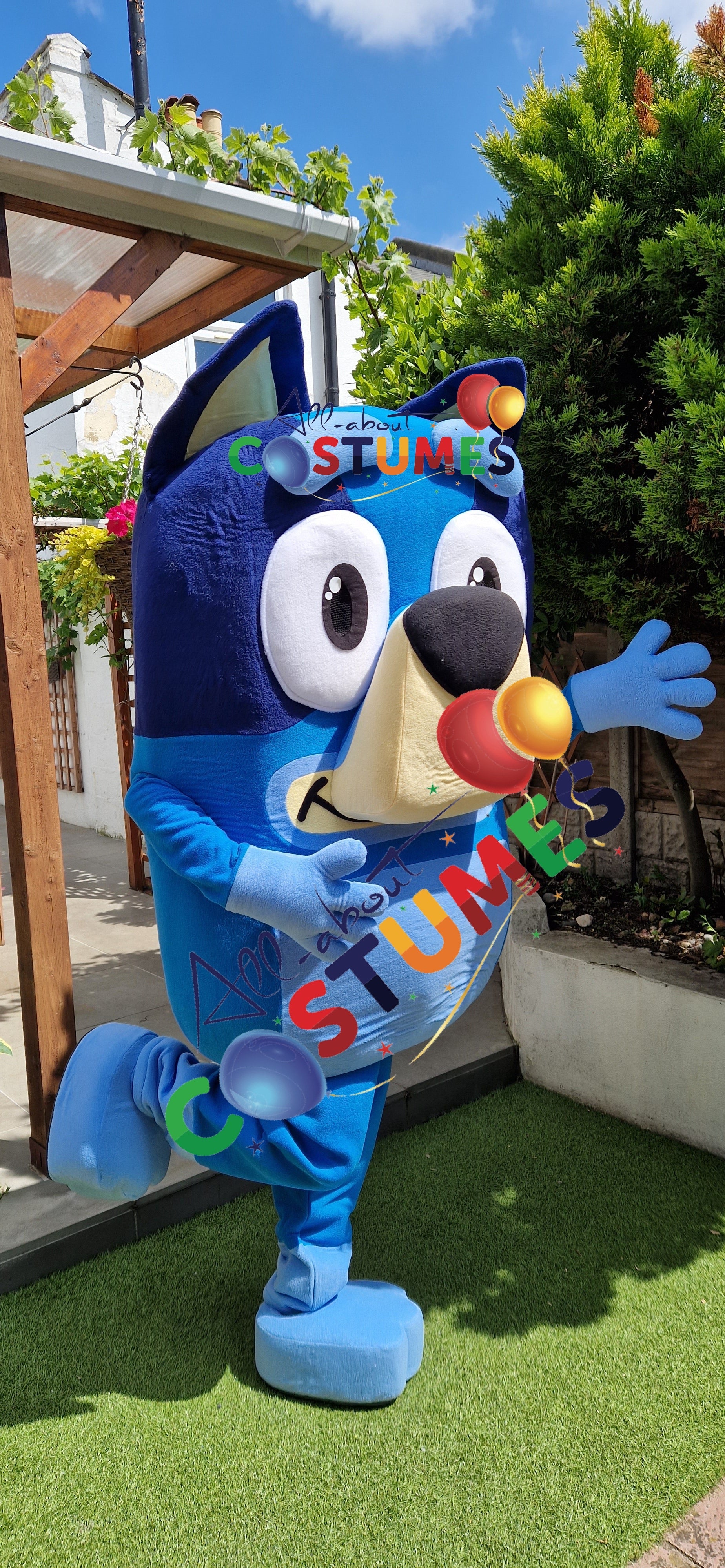 X Bluey B
