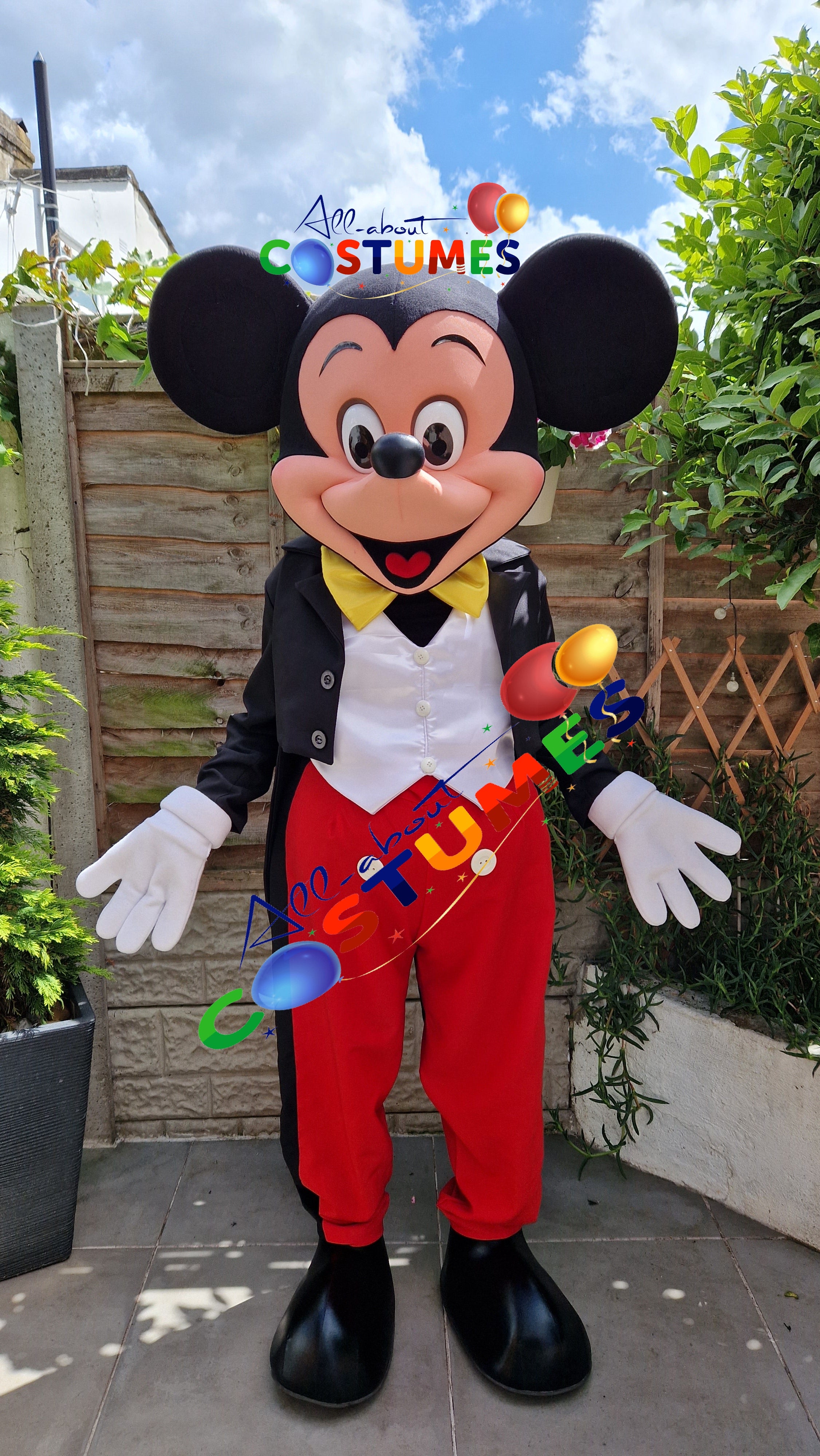 Mickey Mouse Costume