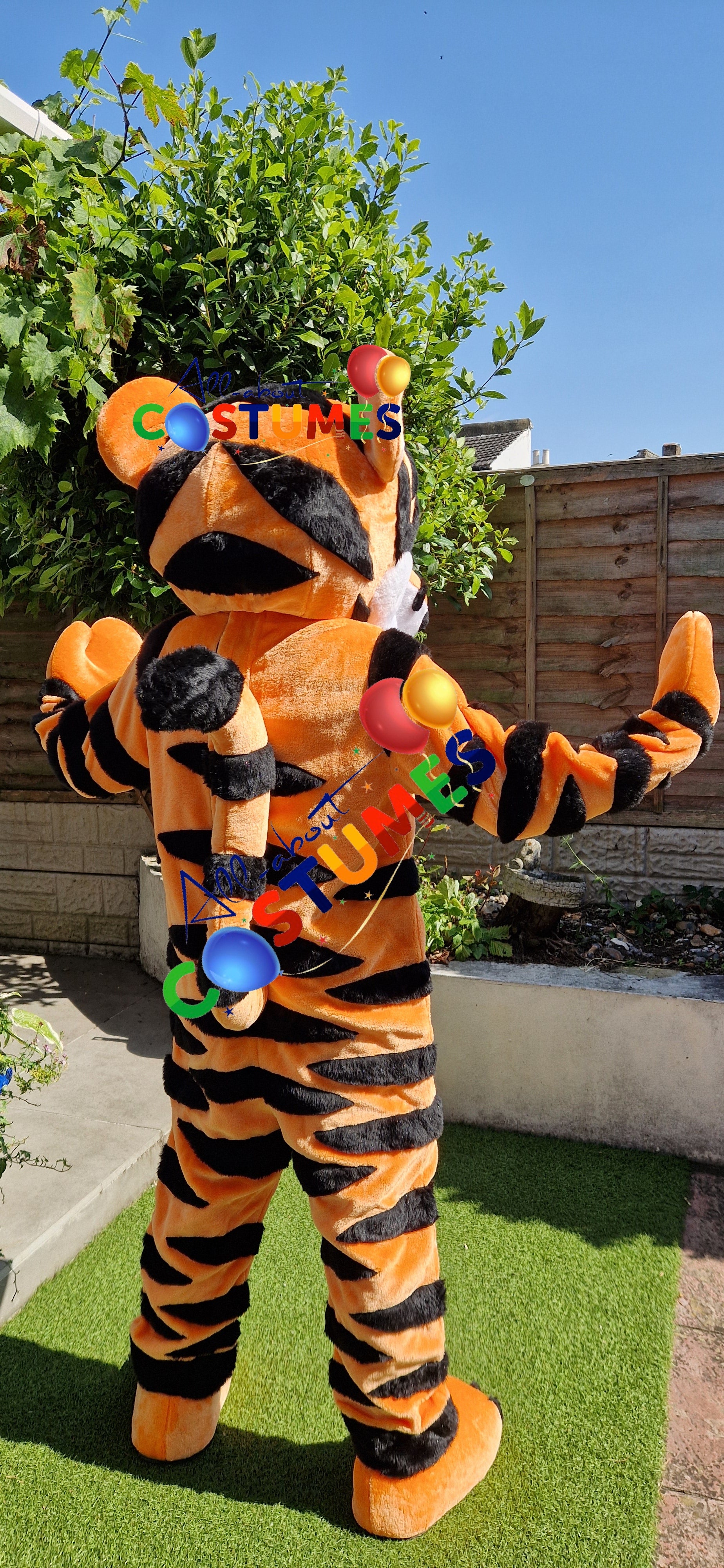 Tigger Winnie the Pooh Bear