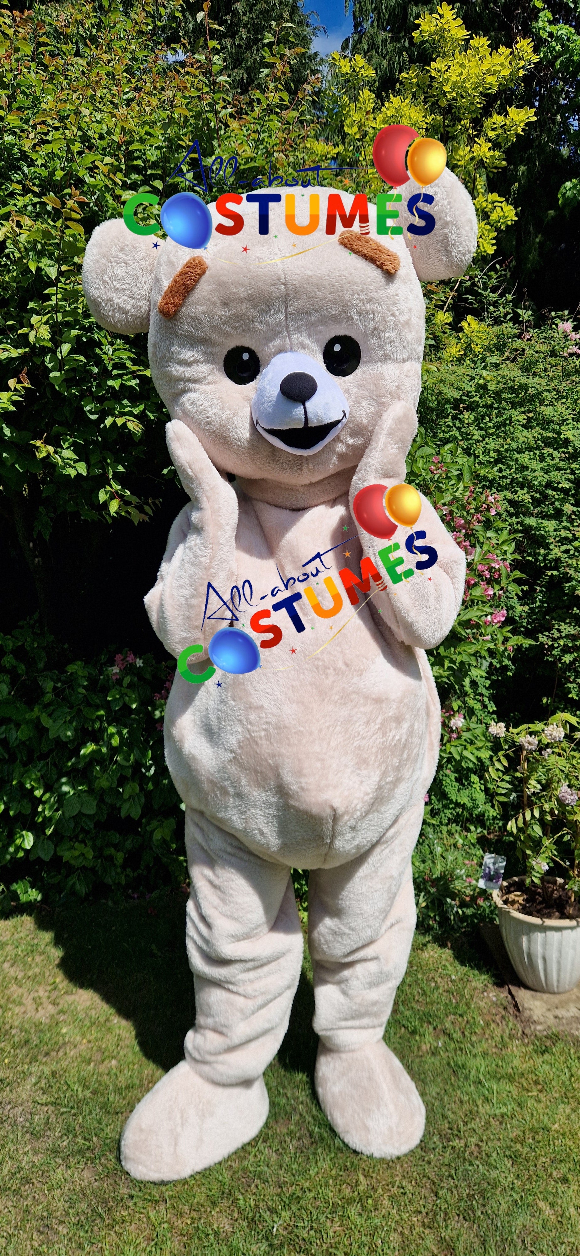Premium Teddy Bear