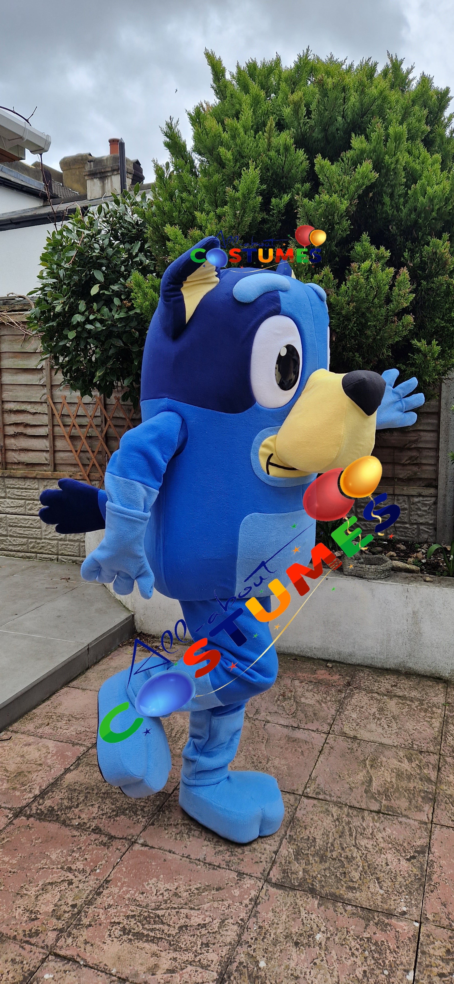 X Bluey A